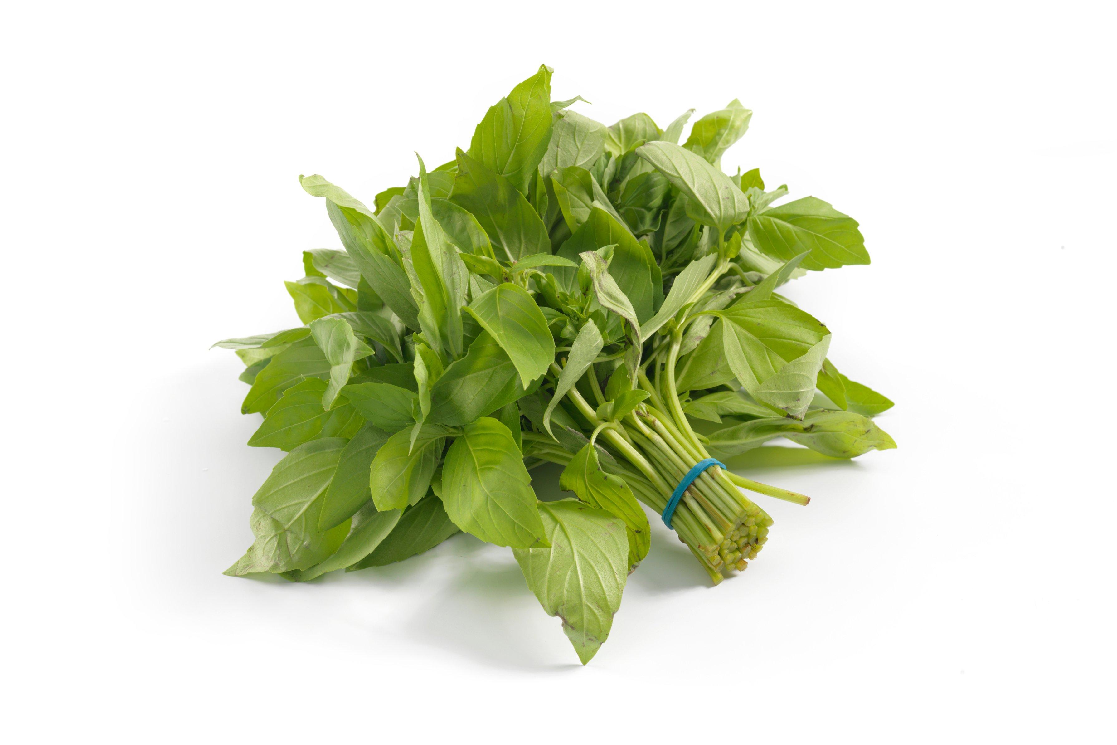 Fresh Basil