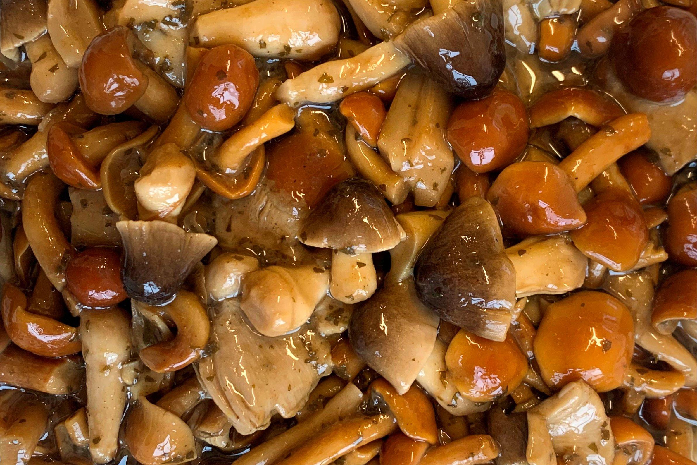 Marinated & Seasoned Exotic Mushroom Mix (950g drained weight)