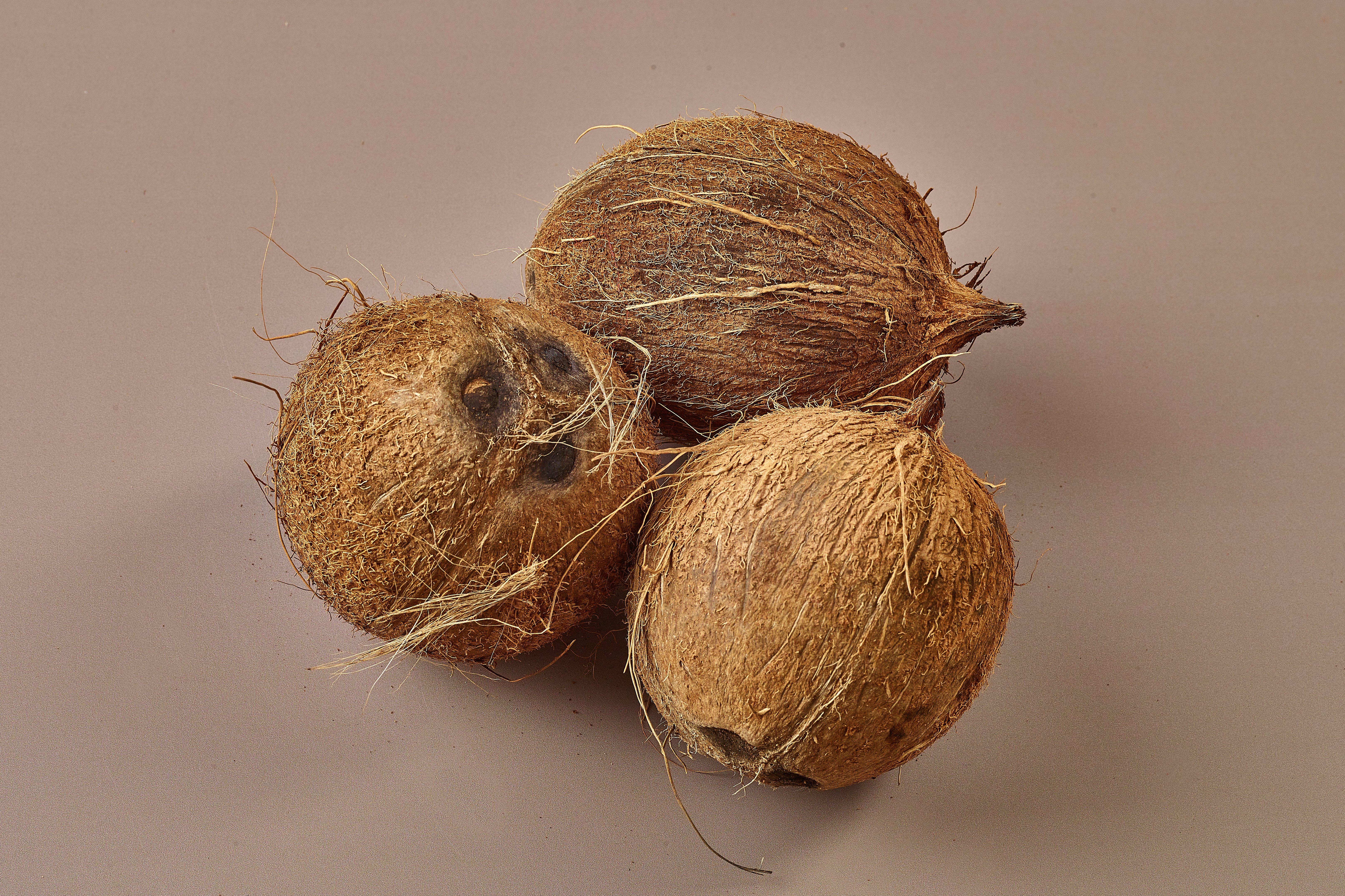 Coconut