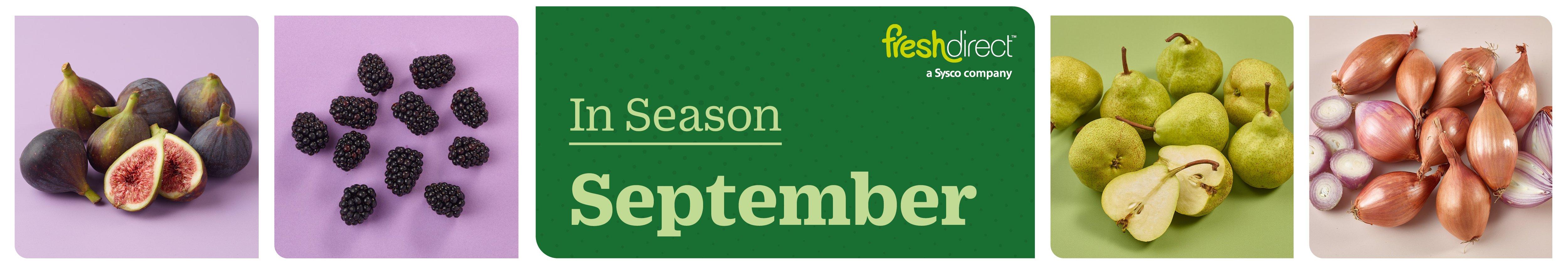 1200x210-In-Season-Banner
