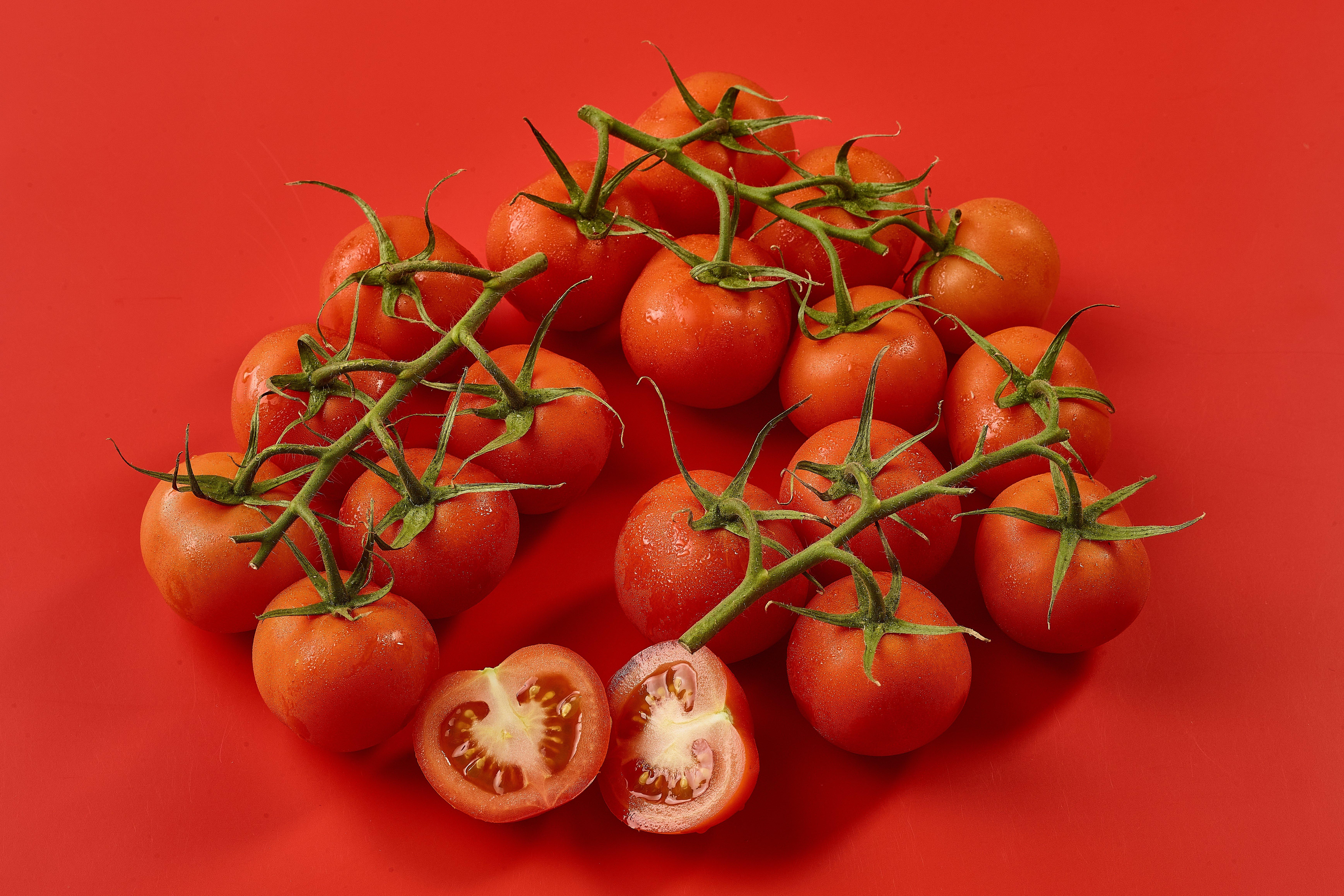 Tomatoes on the Vine