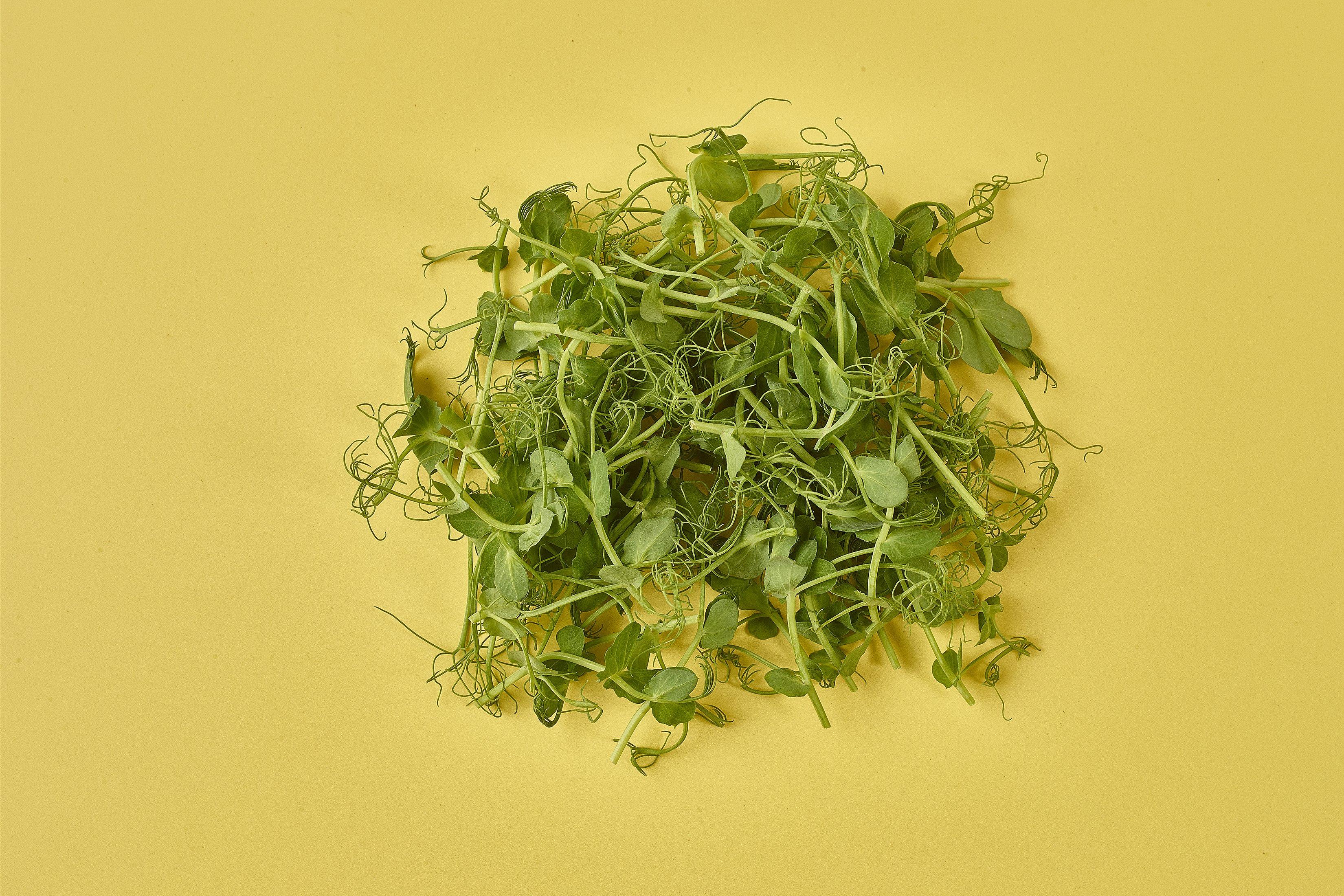 Pea Shoots with Tendrils