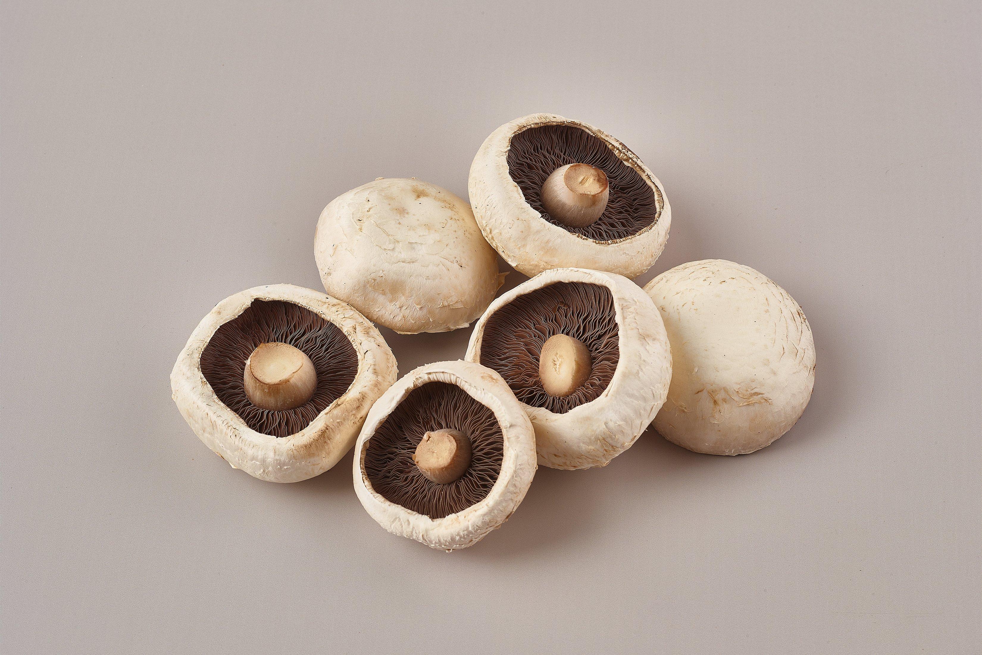 Flat Mushrooms
