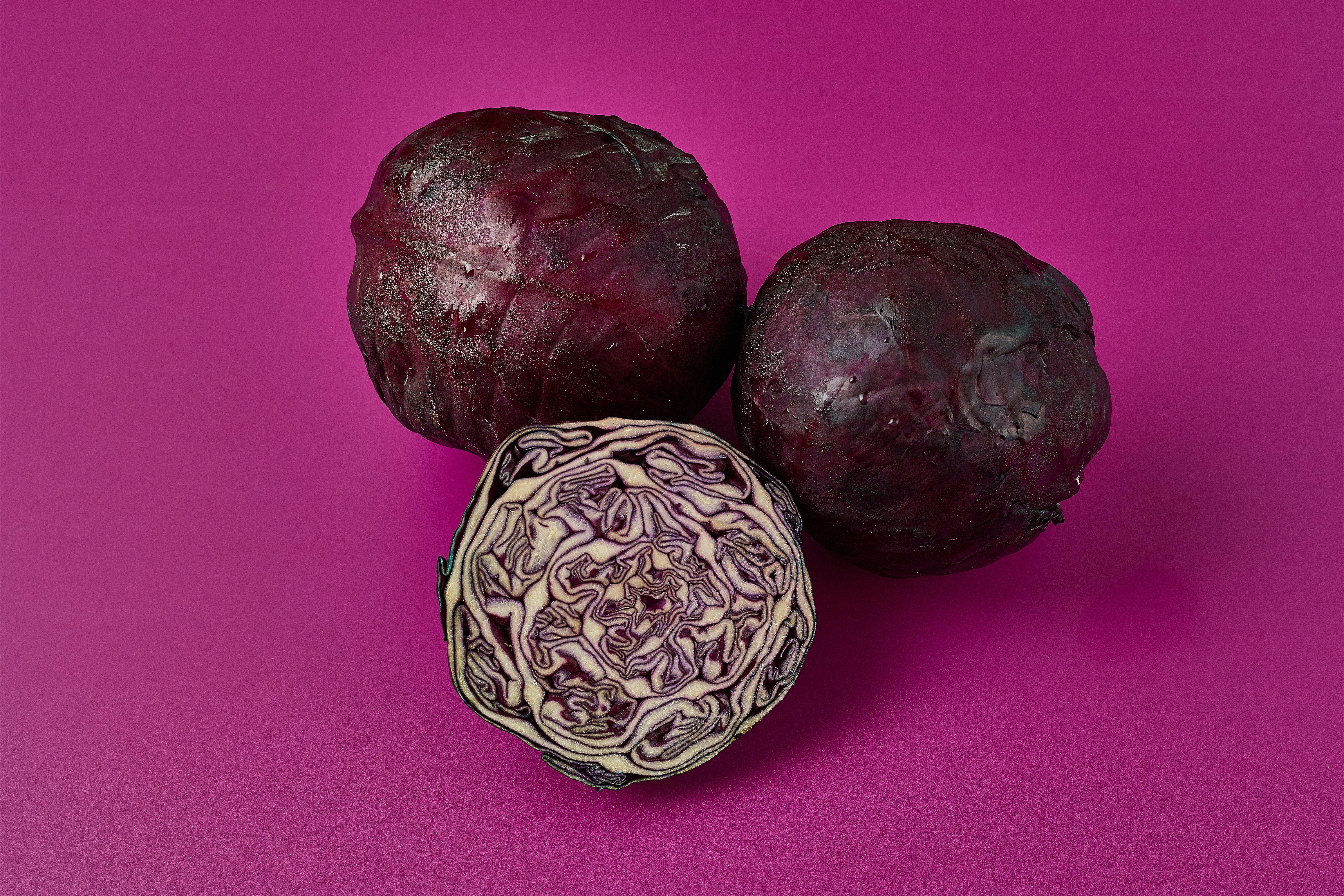 Cabbage Red