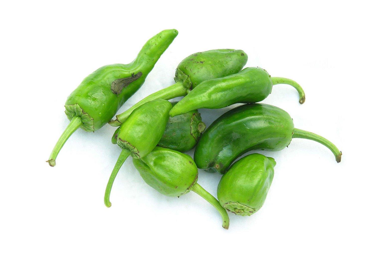 Padron Peppers