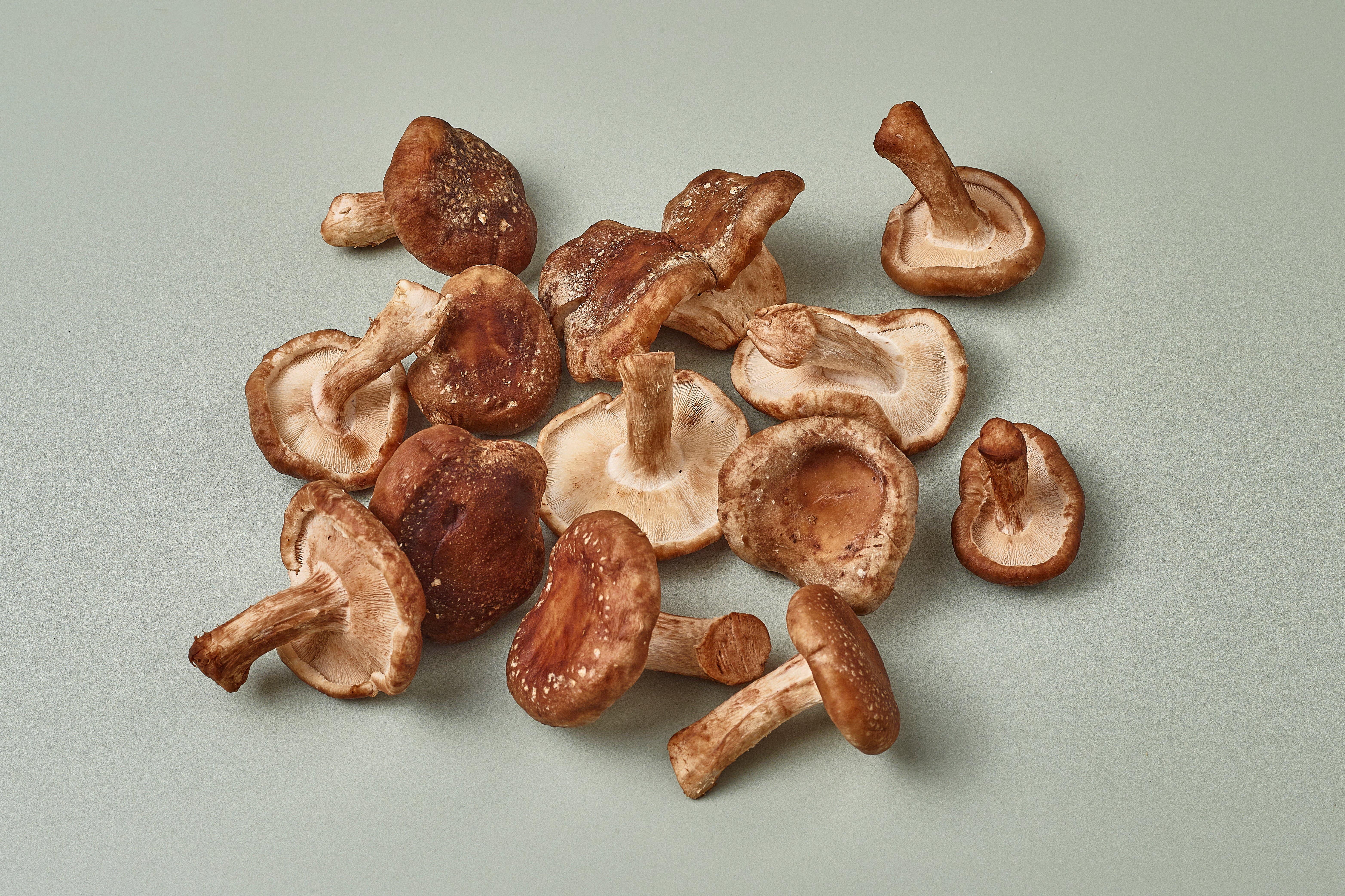 Mushroom Shiitake