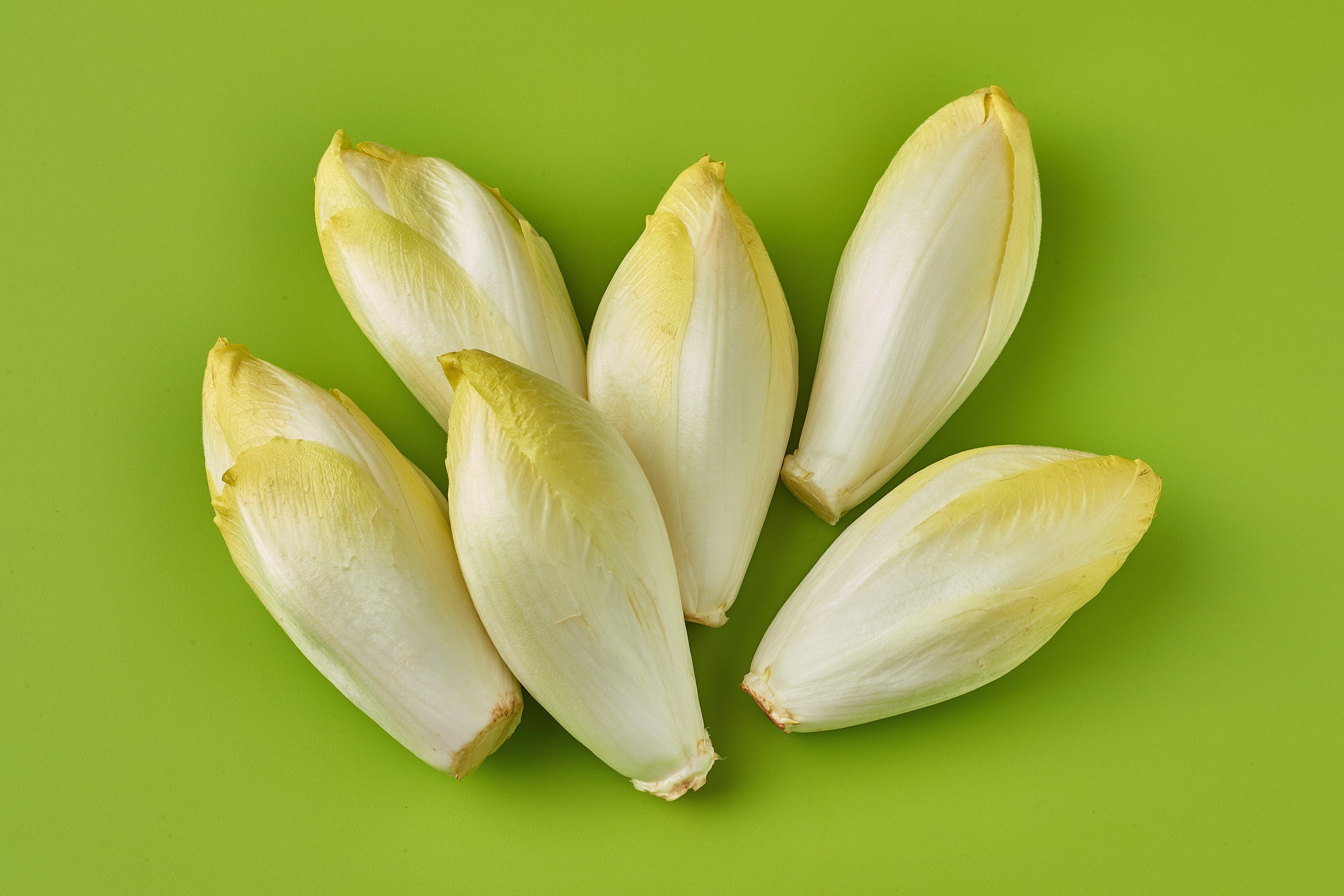 Chicory