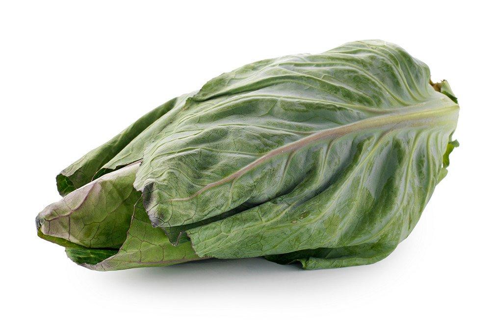 Pointed Cabbage