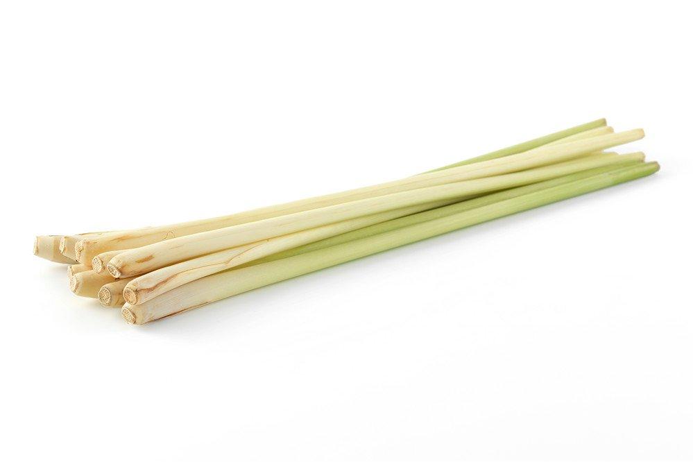 Lemon Grass