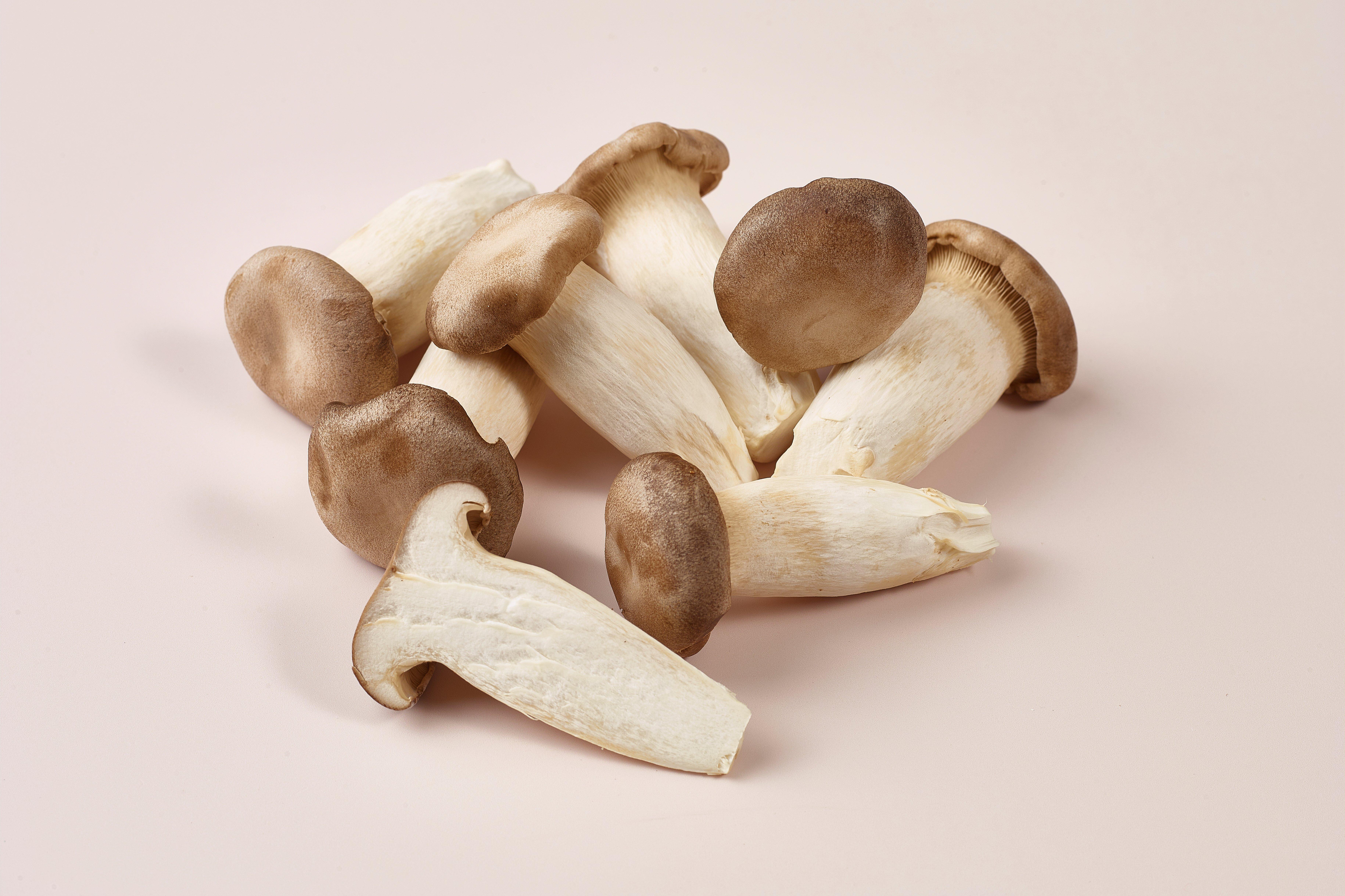 King Oyster Mushrooms