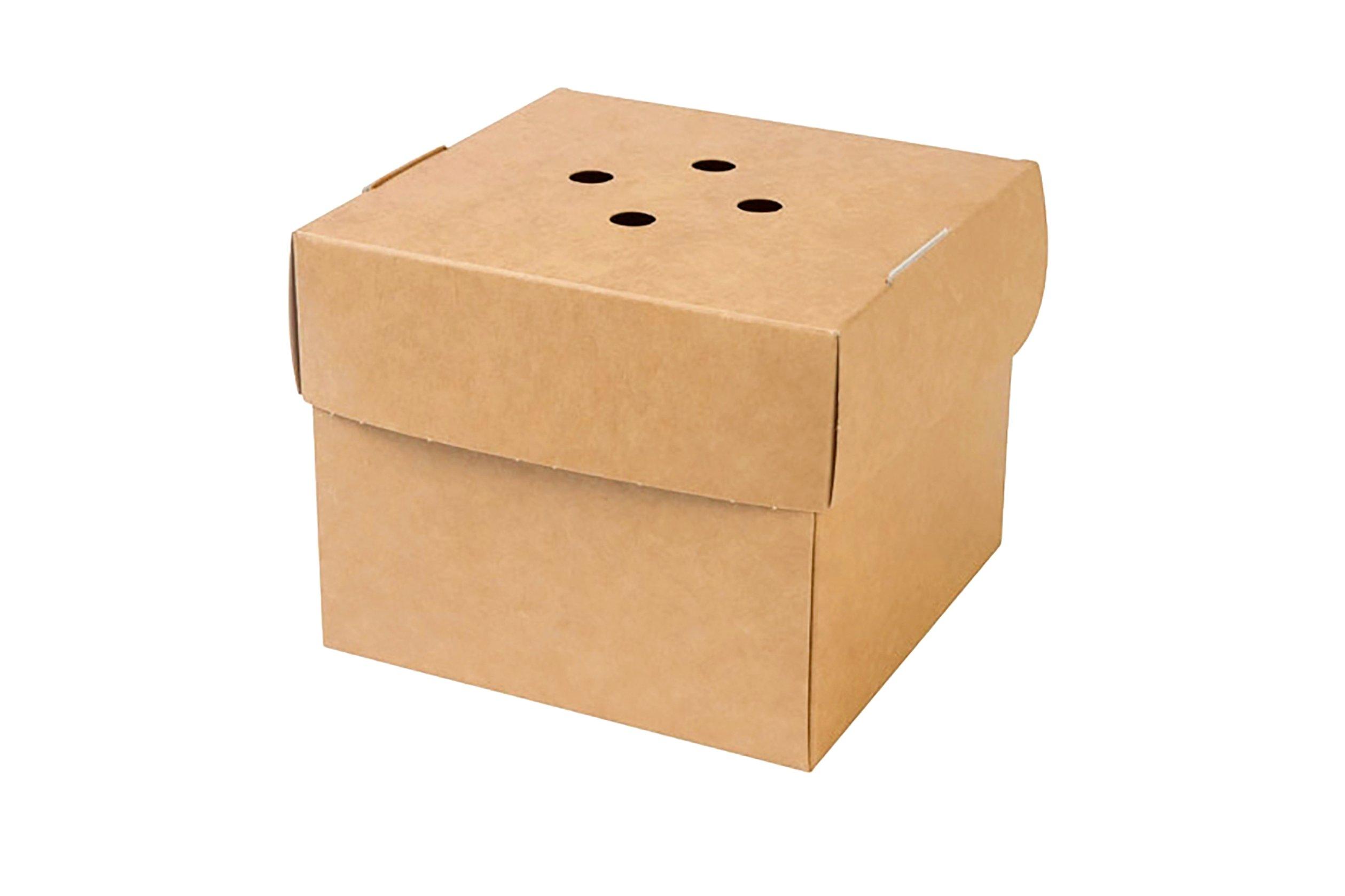 Gourmet Burger Box