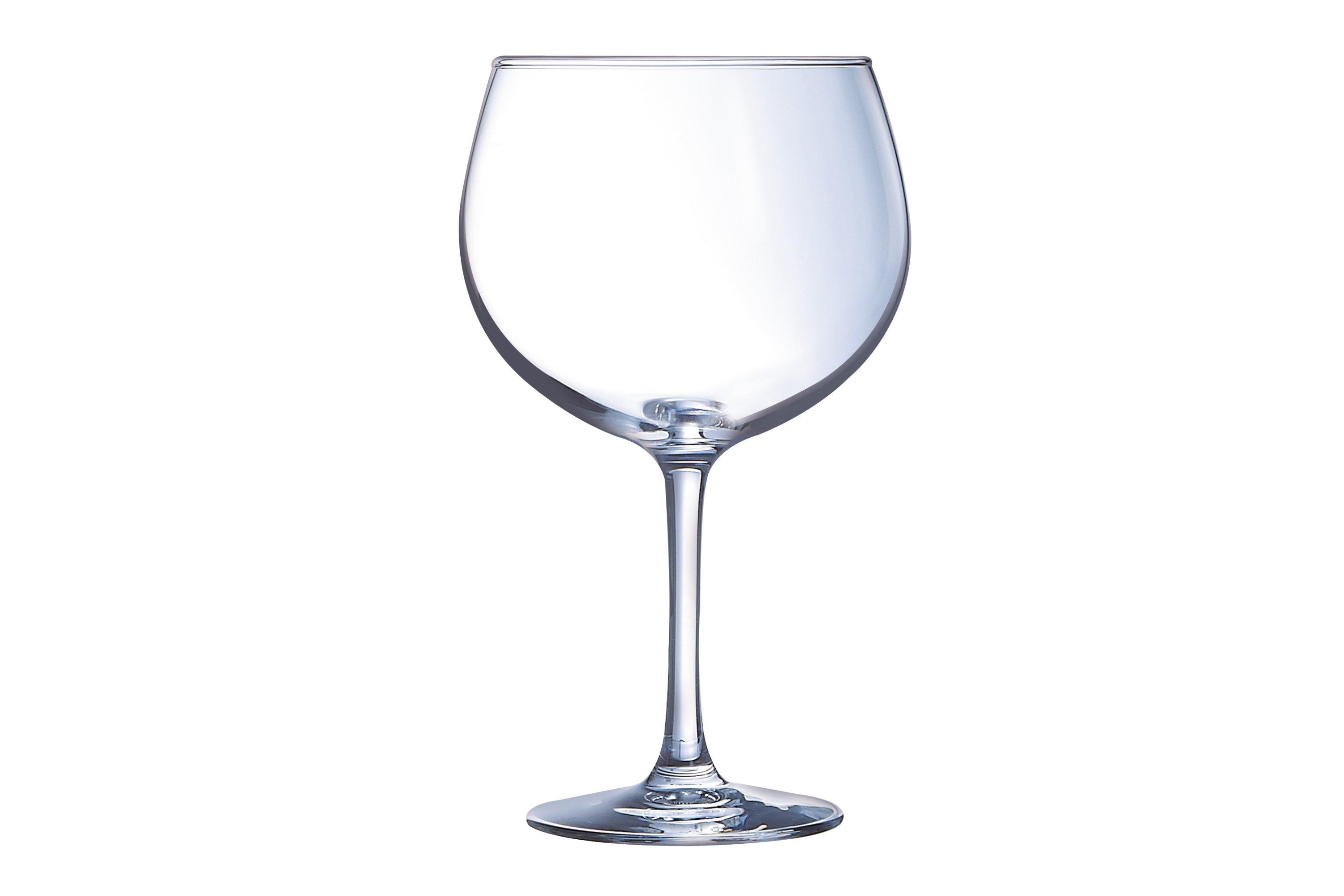 Juniper Gin Balloon Glass 696ml (24.5oz)