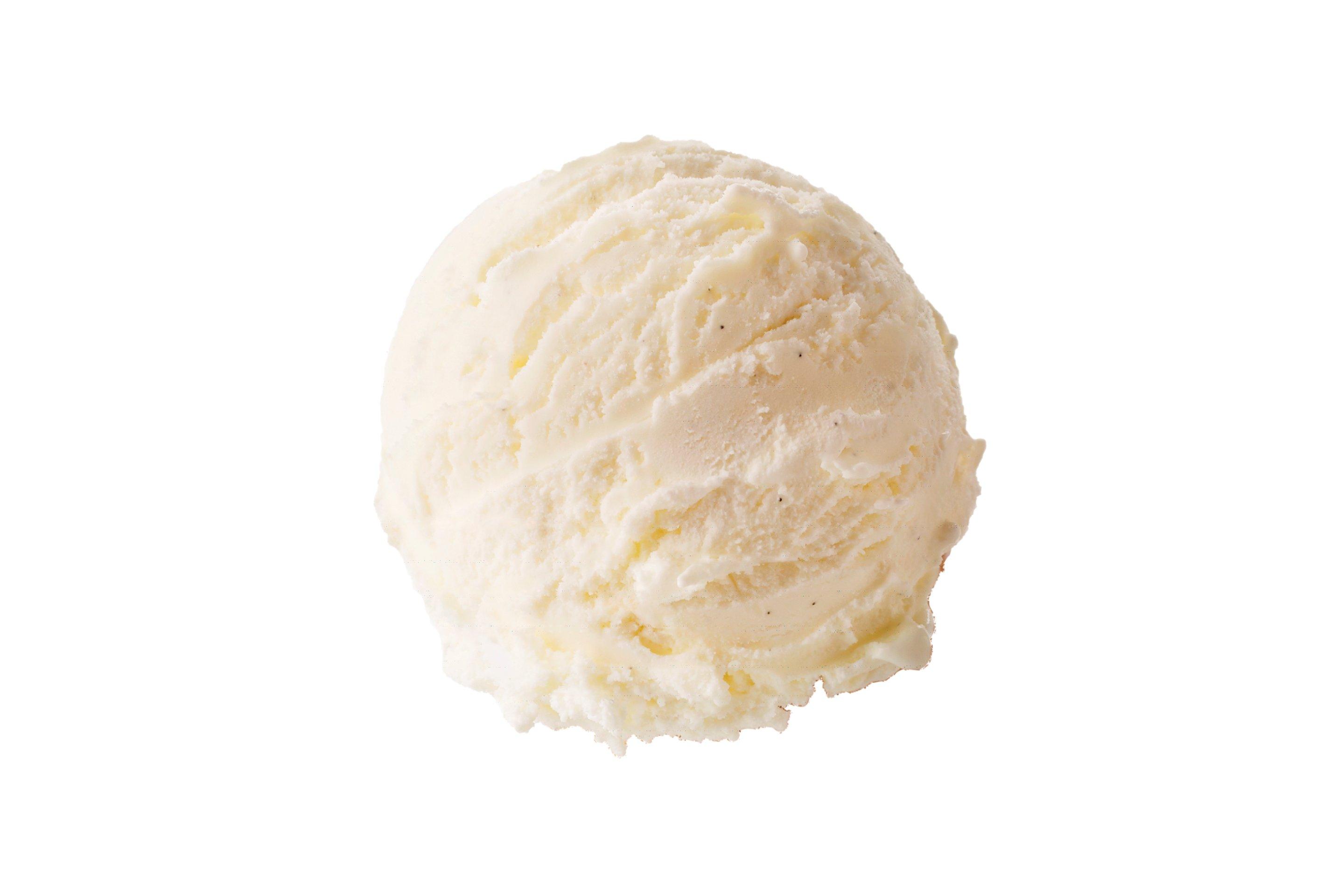 Kelly's Vegan Vanilla Ice Cream