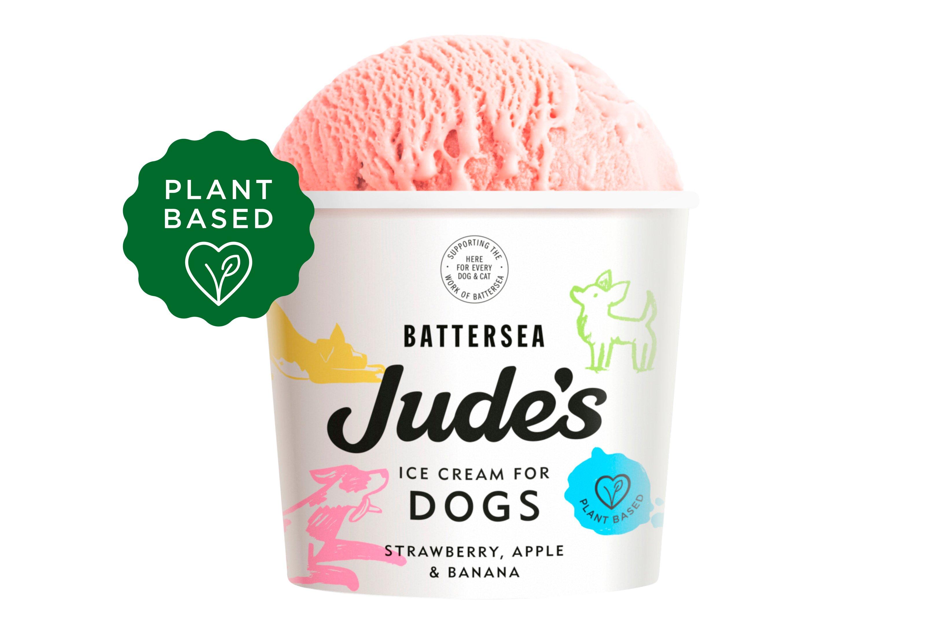 Jude's Ice Cream for Dogs