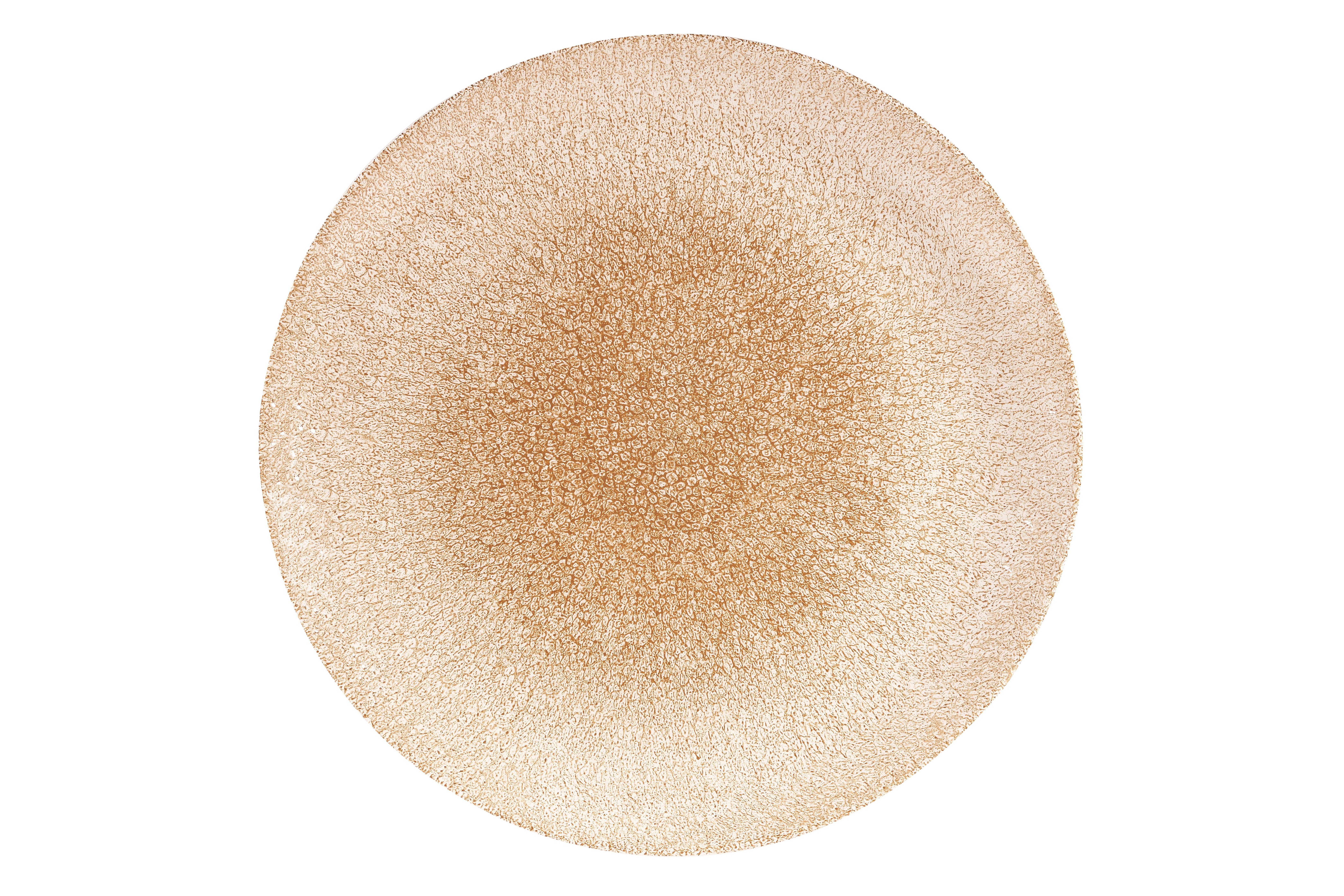 Churchill Garnet Orange Studio Prints Raku Coupe Plate 28.5cm