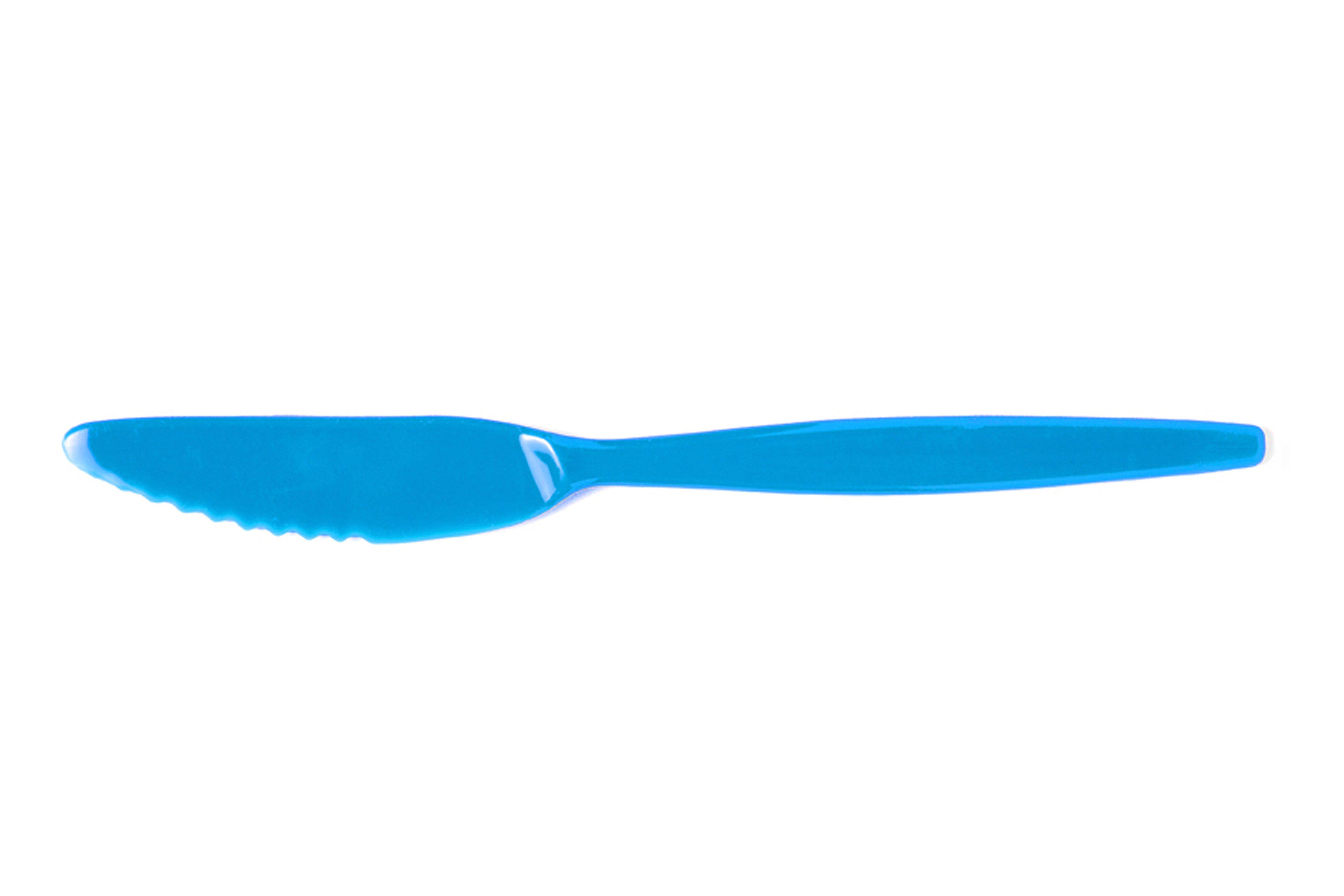 Blue Polycarbonate Standard Knife