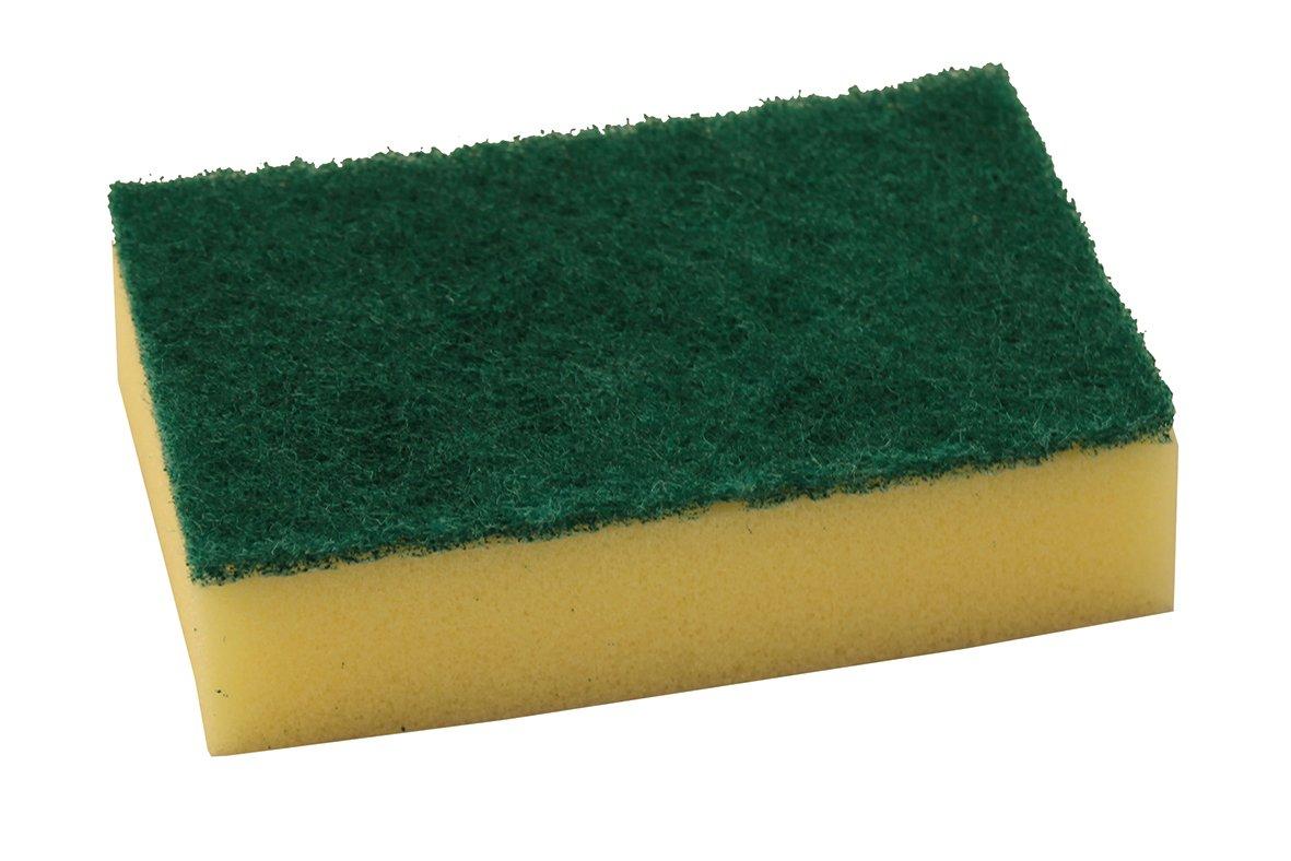 Sponge Scourer