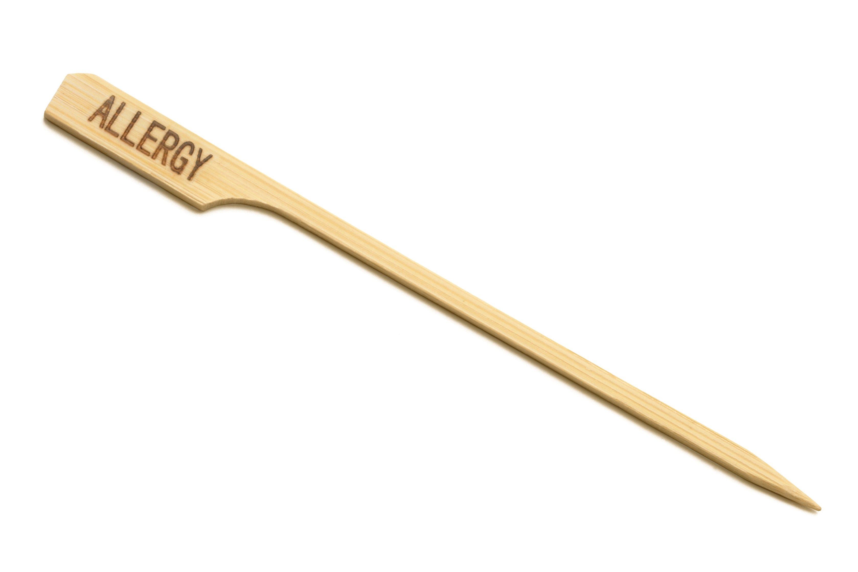 Bamboo Paddle Pick "Allergy"