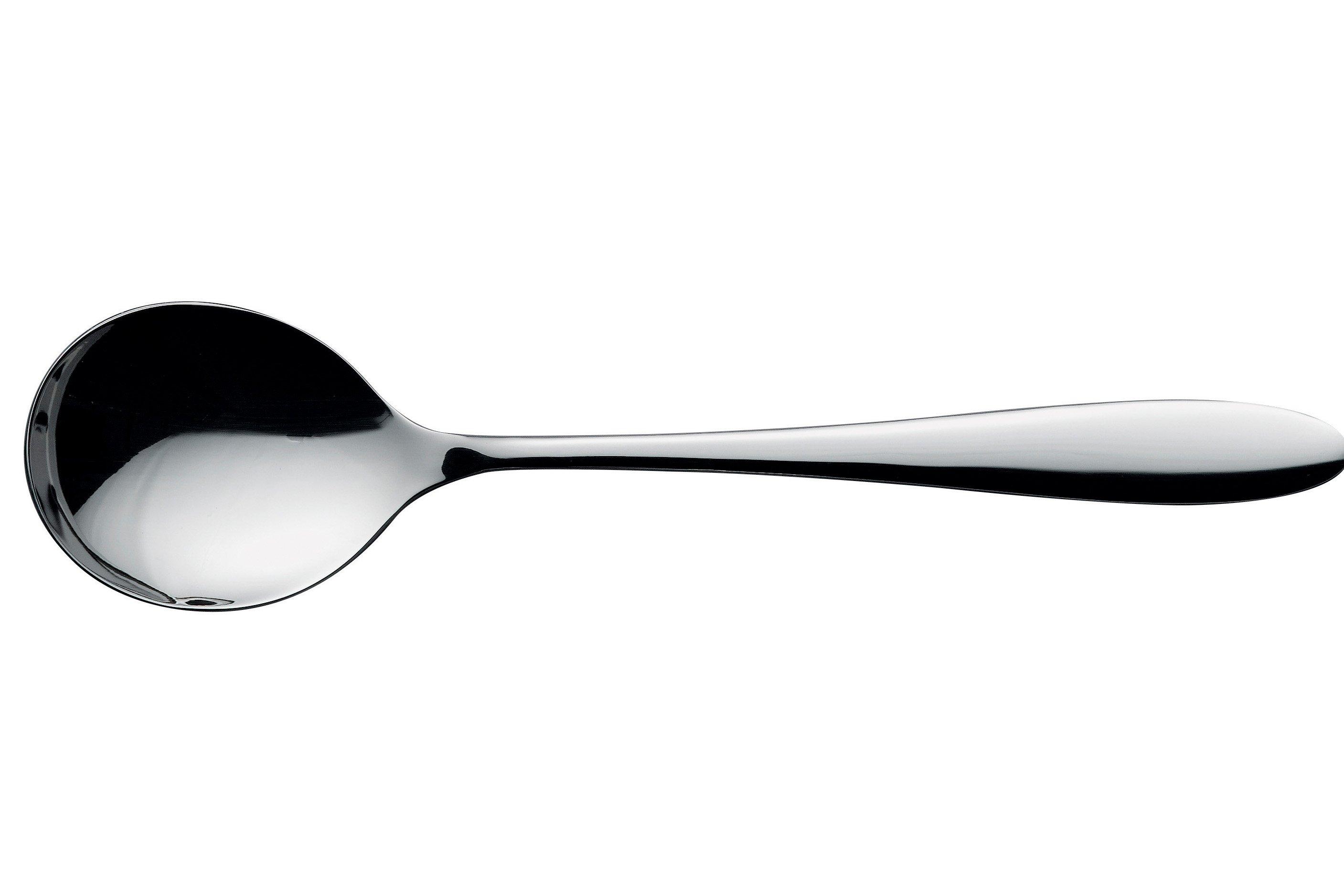 Anise Soup Spoon