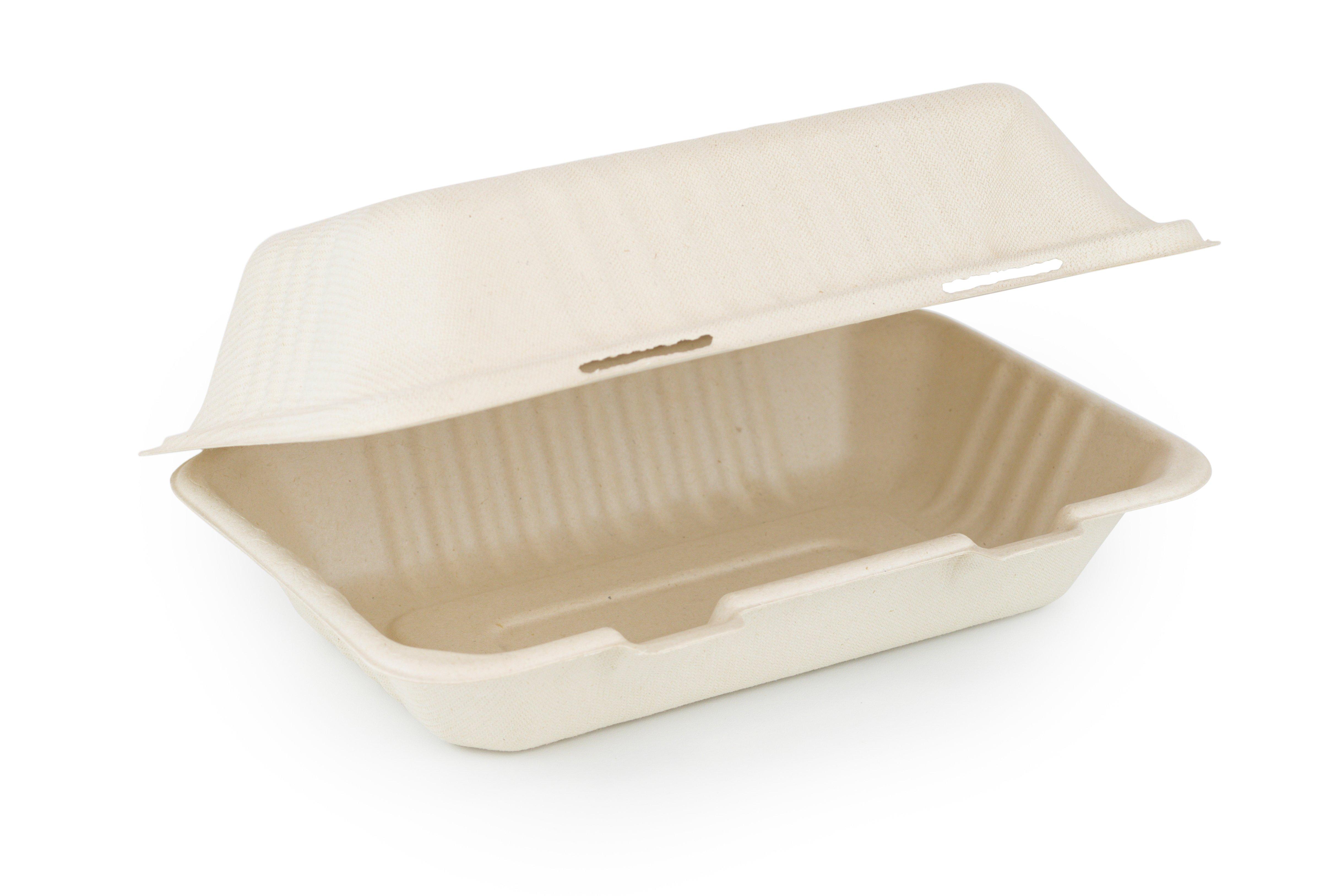 Sysco Earth Plus Unbleached Bagasse 23cm Medium Box