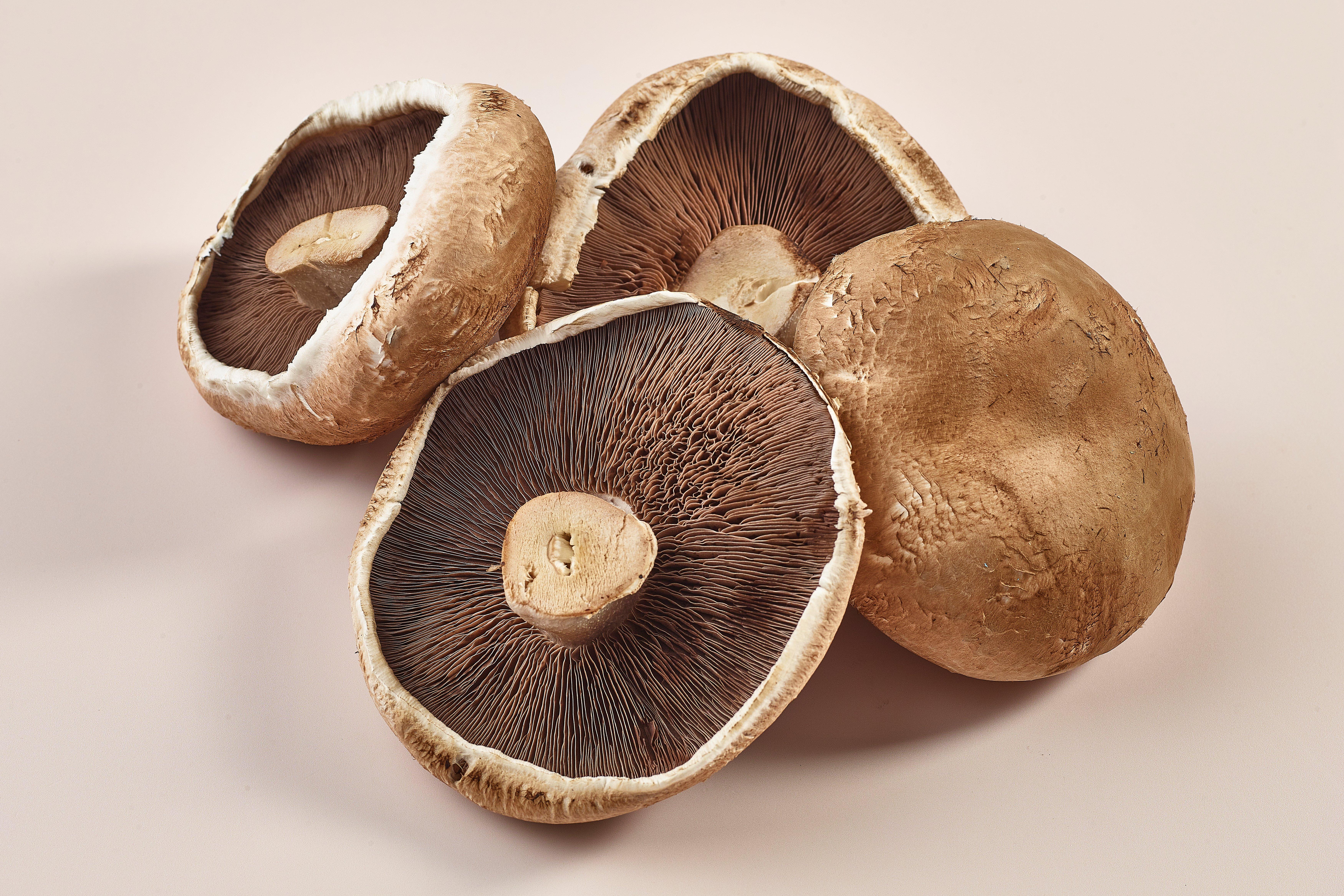 Large Portobello Mushroom