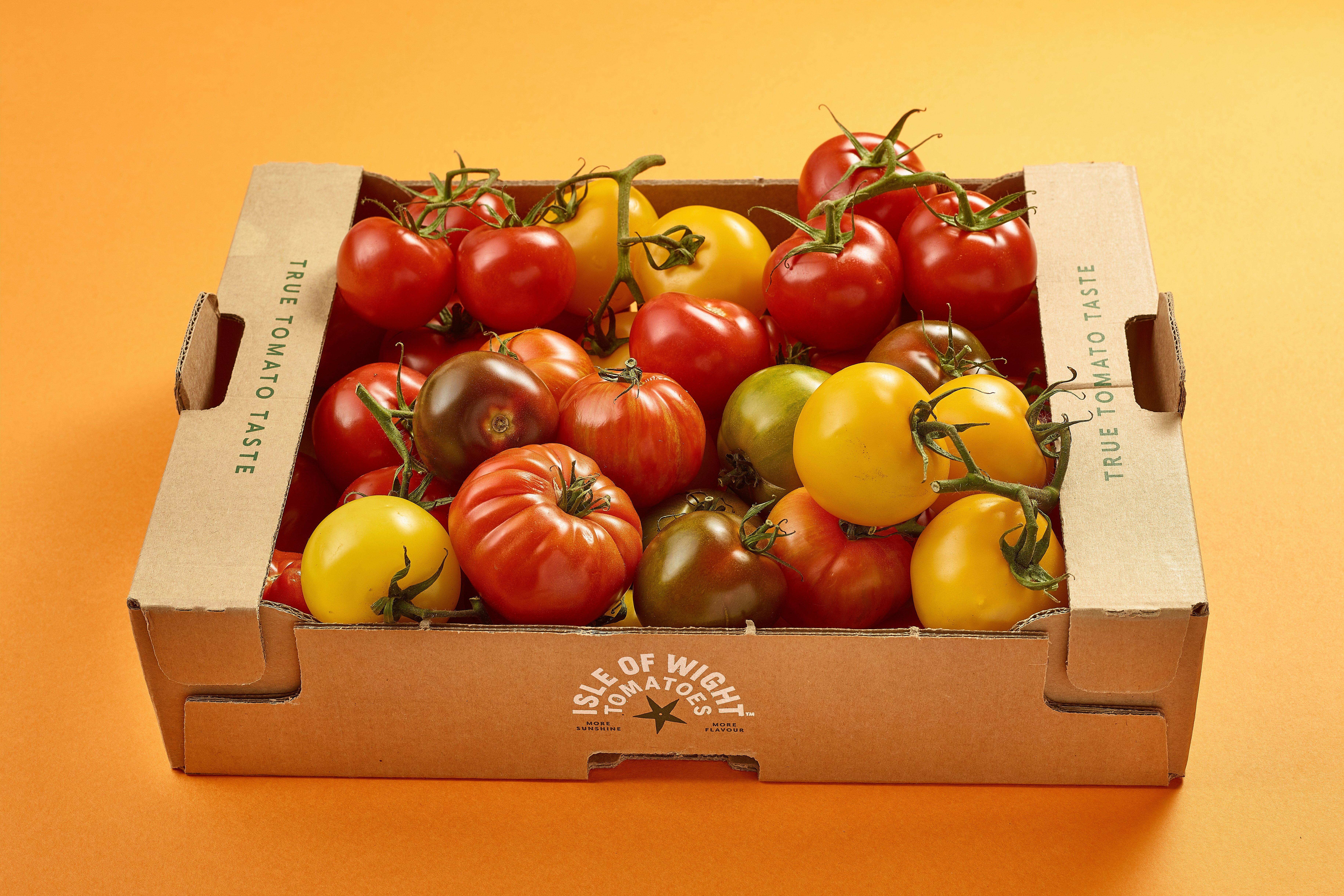 British Isle Of Wight Heirloom Tomato