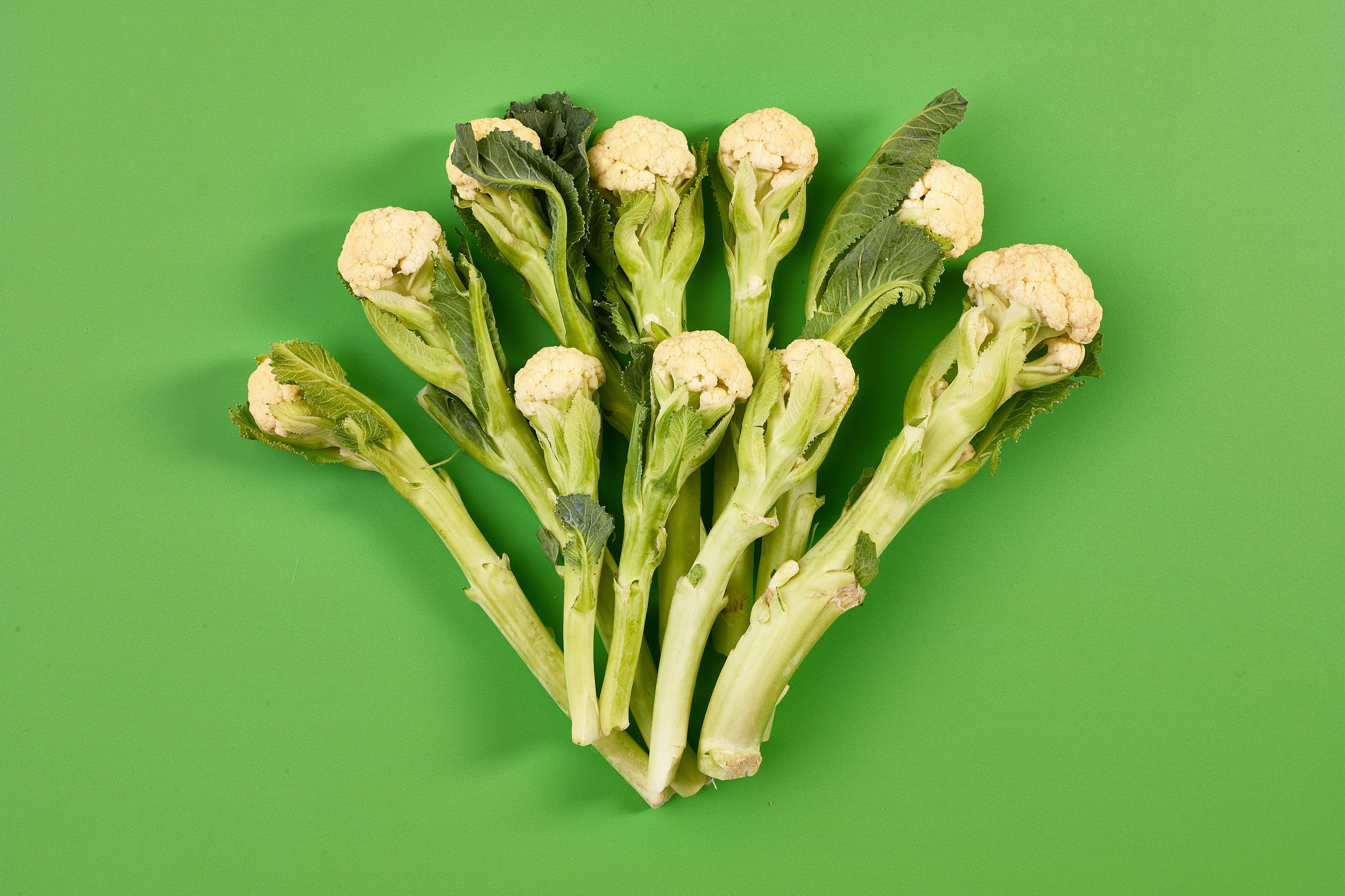 CauliShoots®