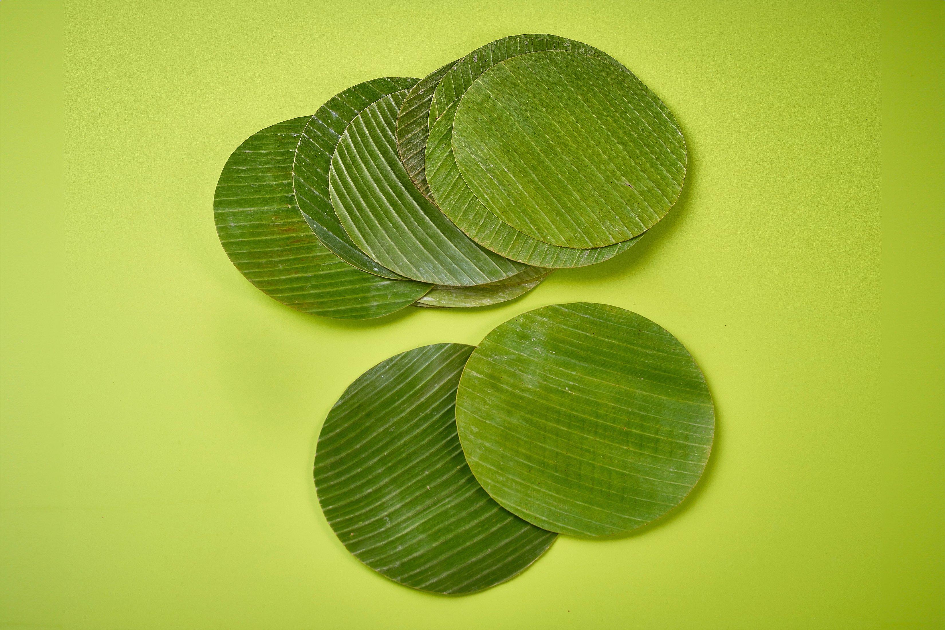 Prepared Banana Leaves