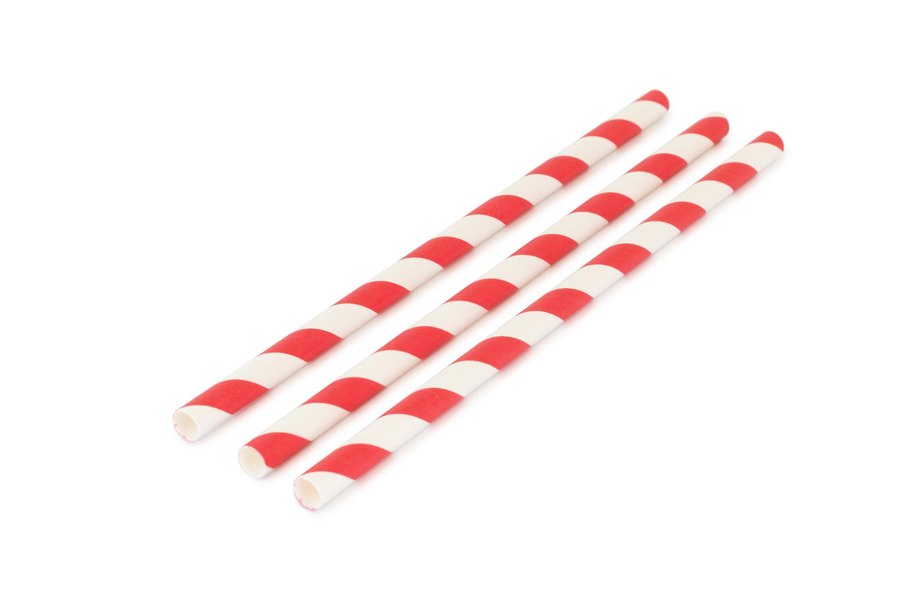 EarthPlus StripePaperStraw 200x8mm 1x250