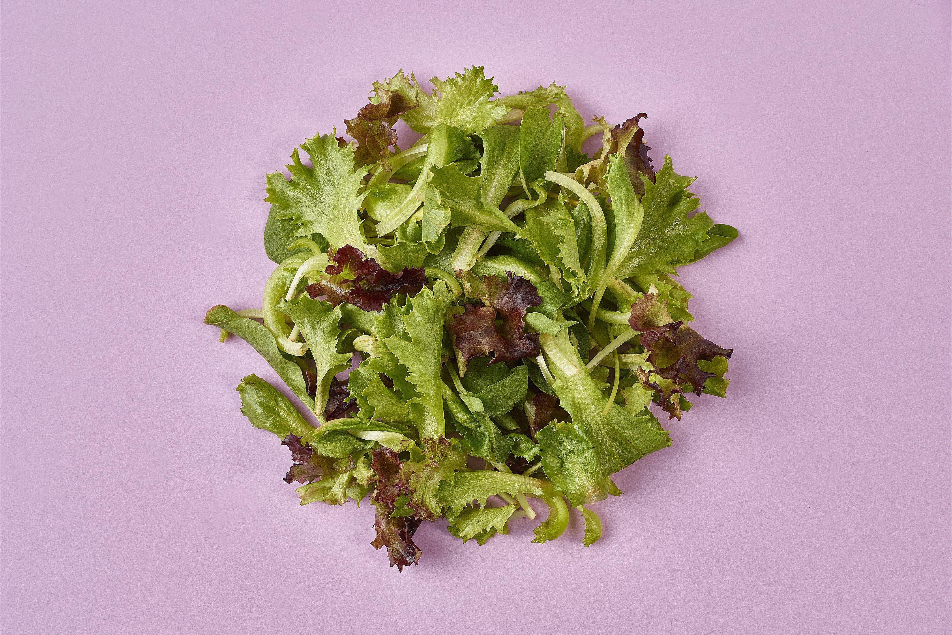 Zesty Baby Salad Leaf Mix
