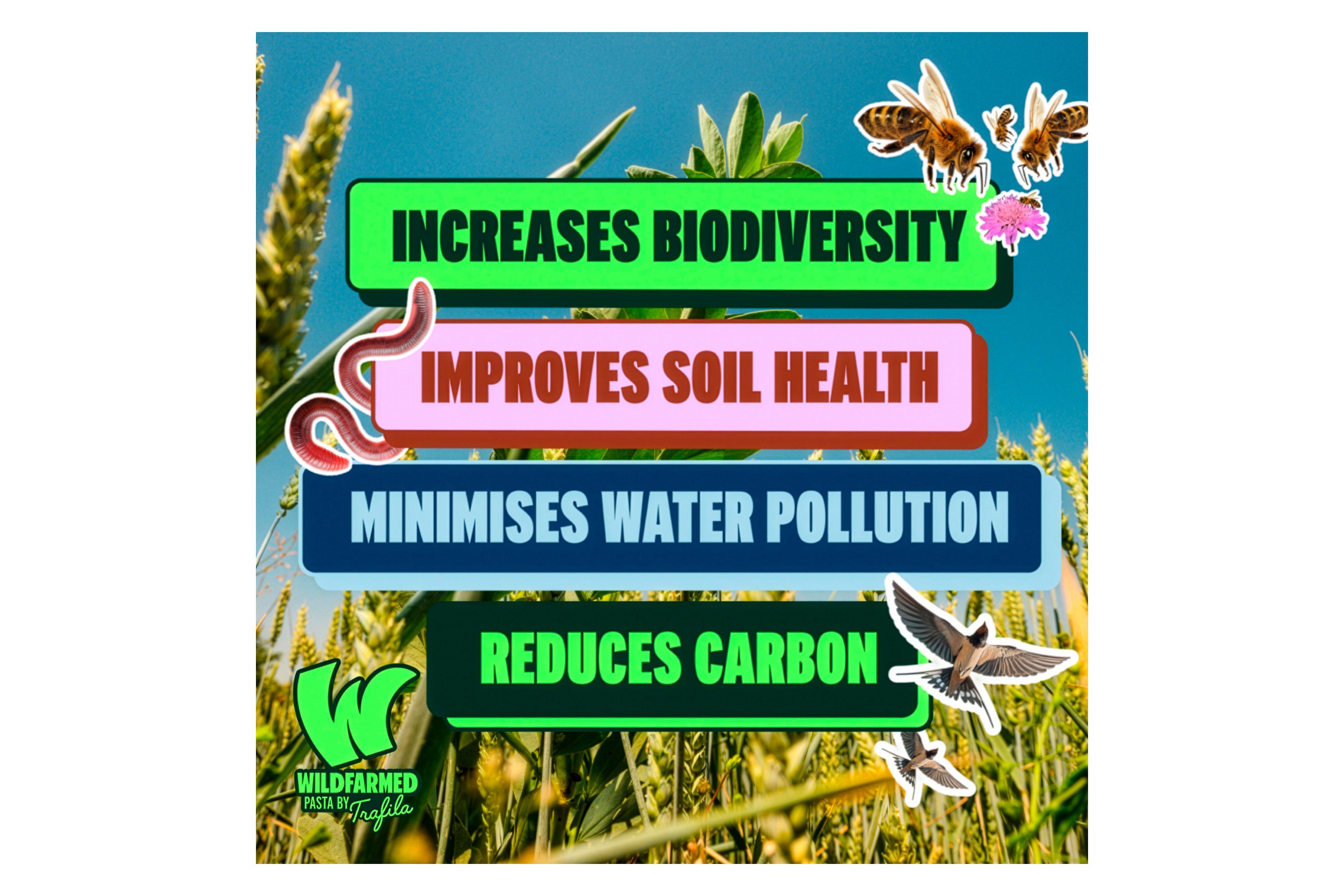 Wildfarmed Self Raising Flour