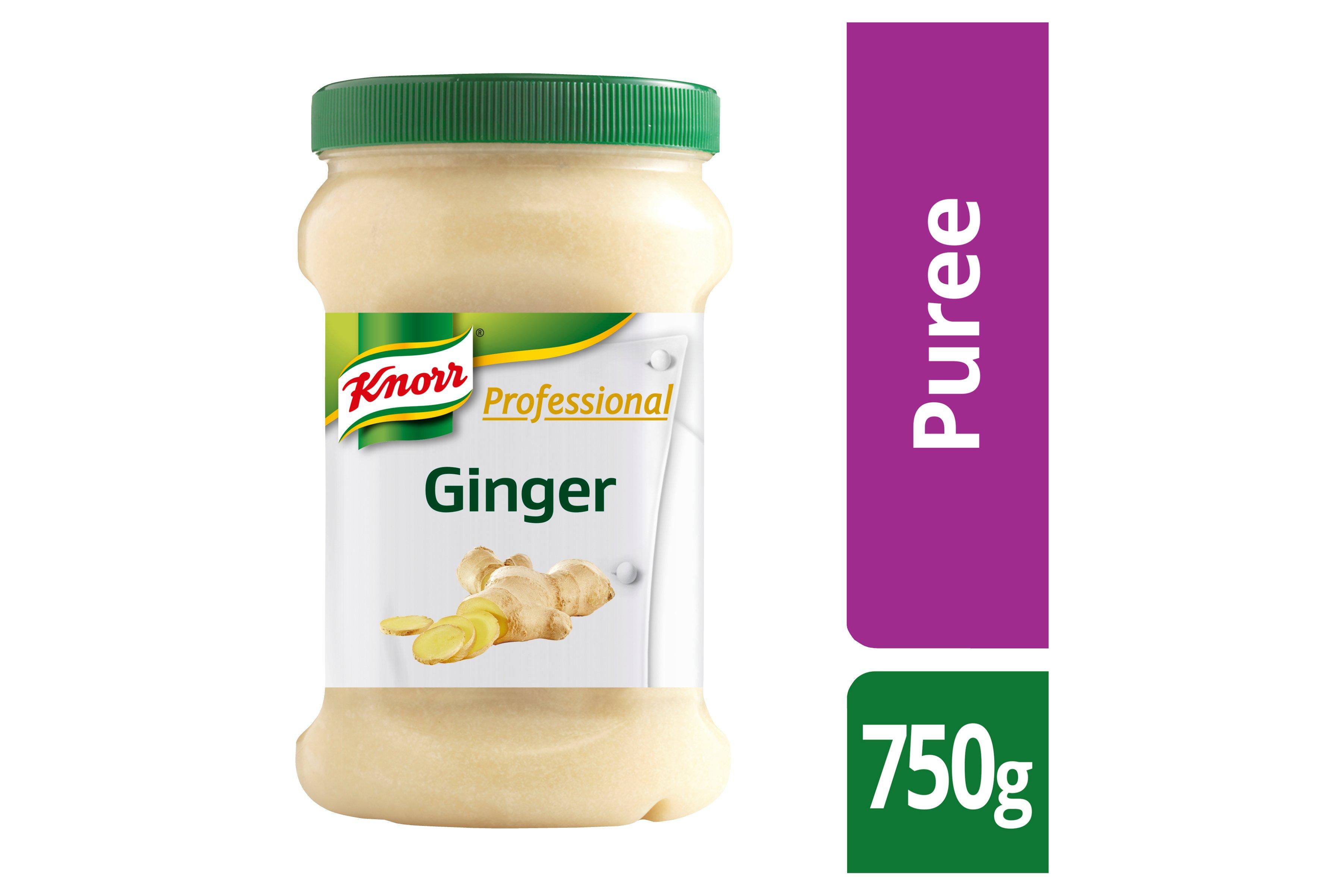 Knorr Professional Ginger Puree 750g