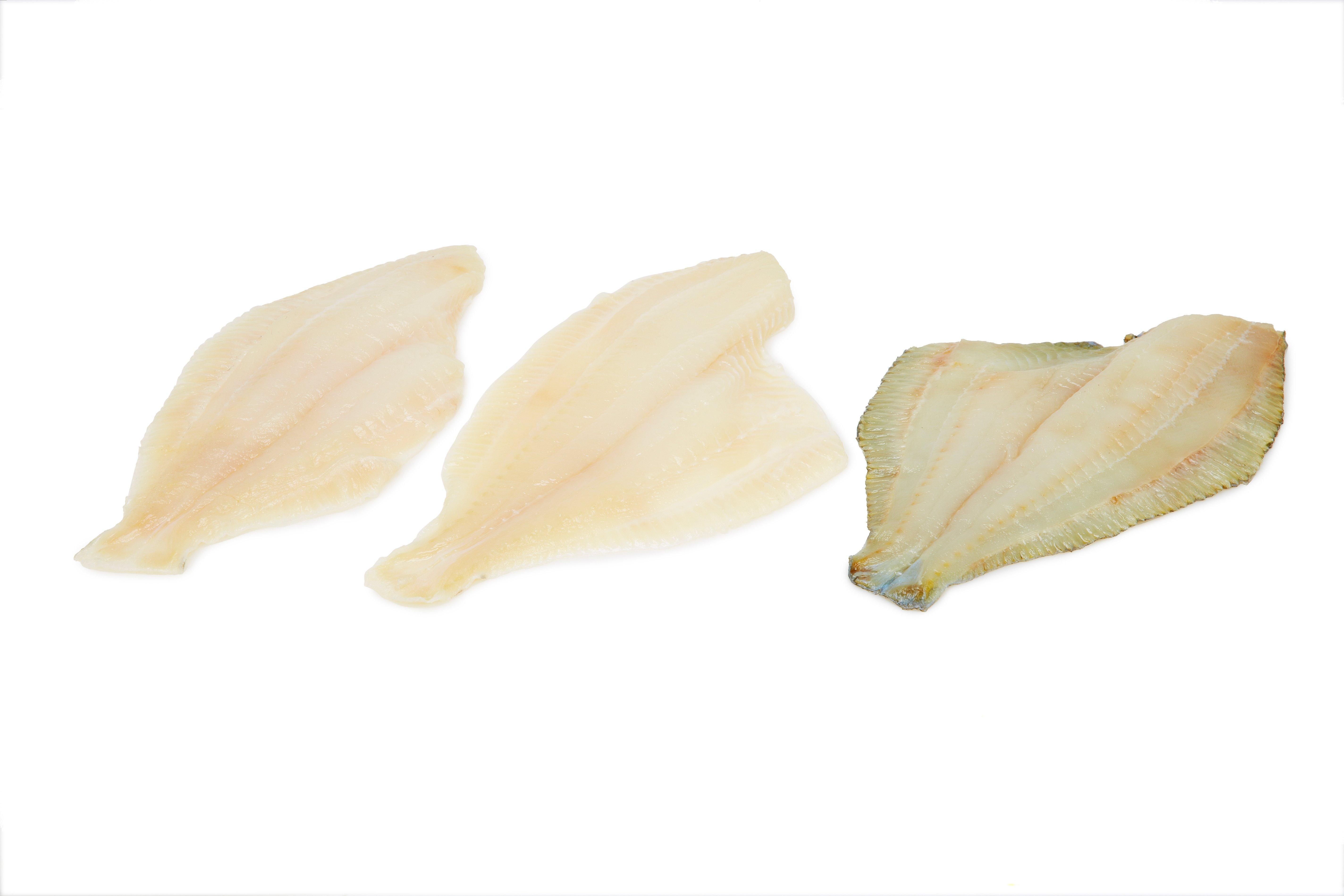 MSC Large Plaice Fillets Skin on Boneless 170-200g (net of glaze)