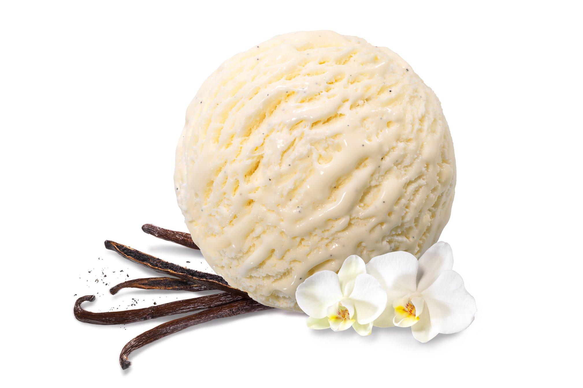 Mövenpick Vanilla Diary Ice Cream