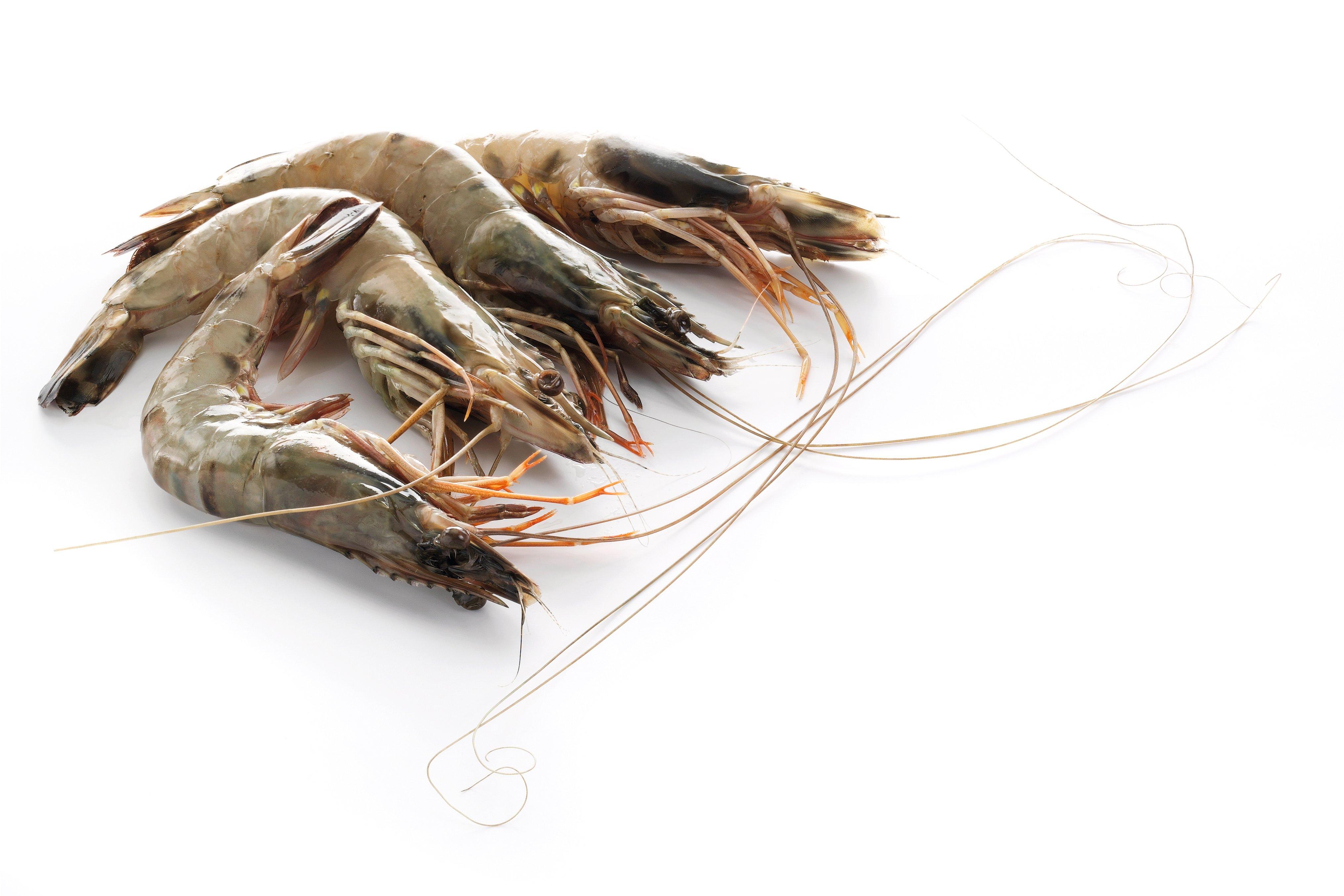 King Prawns  (raw, head on, shell on)