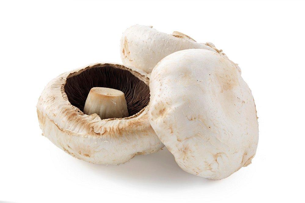 Large Flat Mushrooms