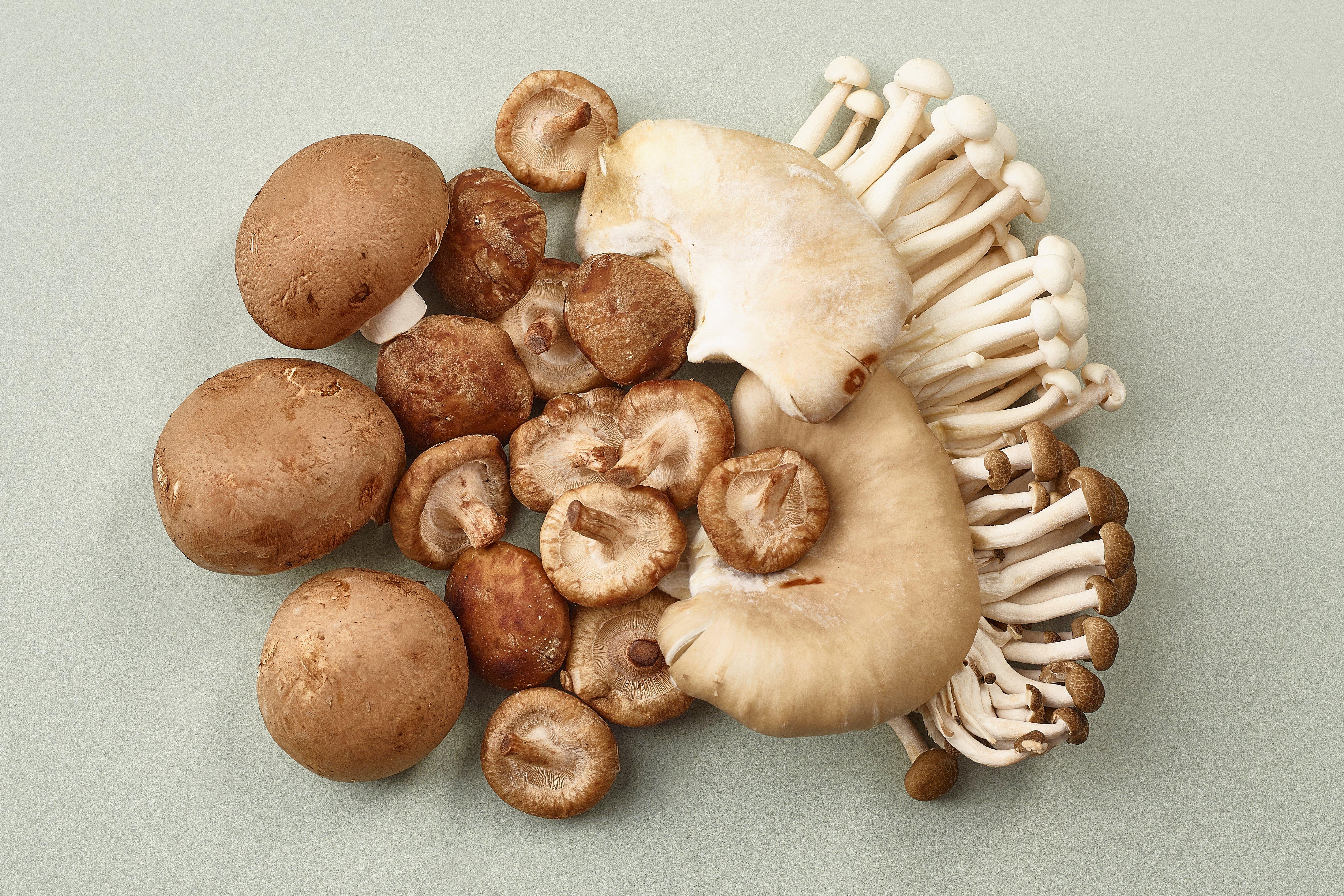 Gourmet Mushroom Selection