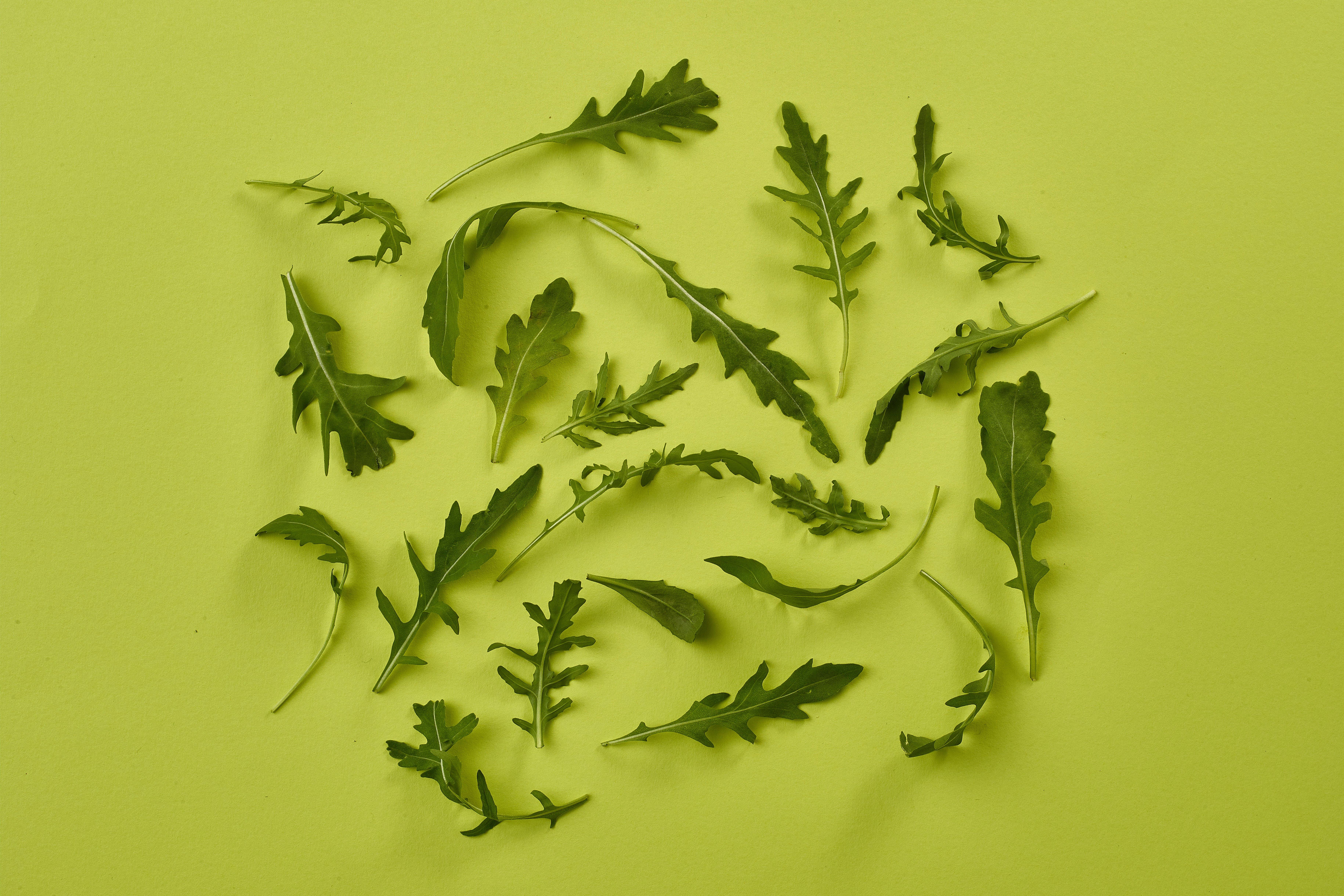 Roquette