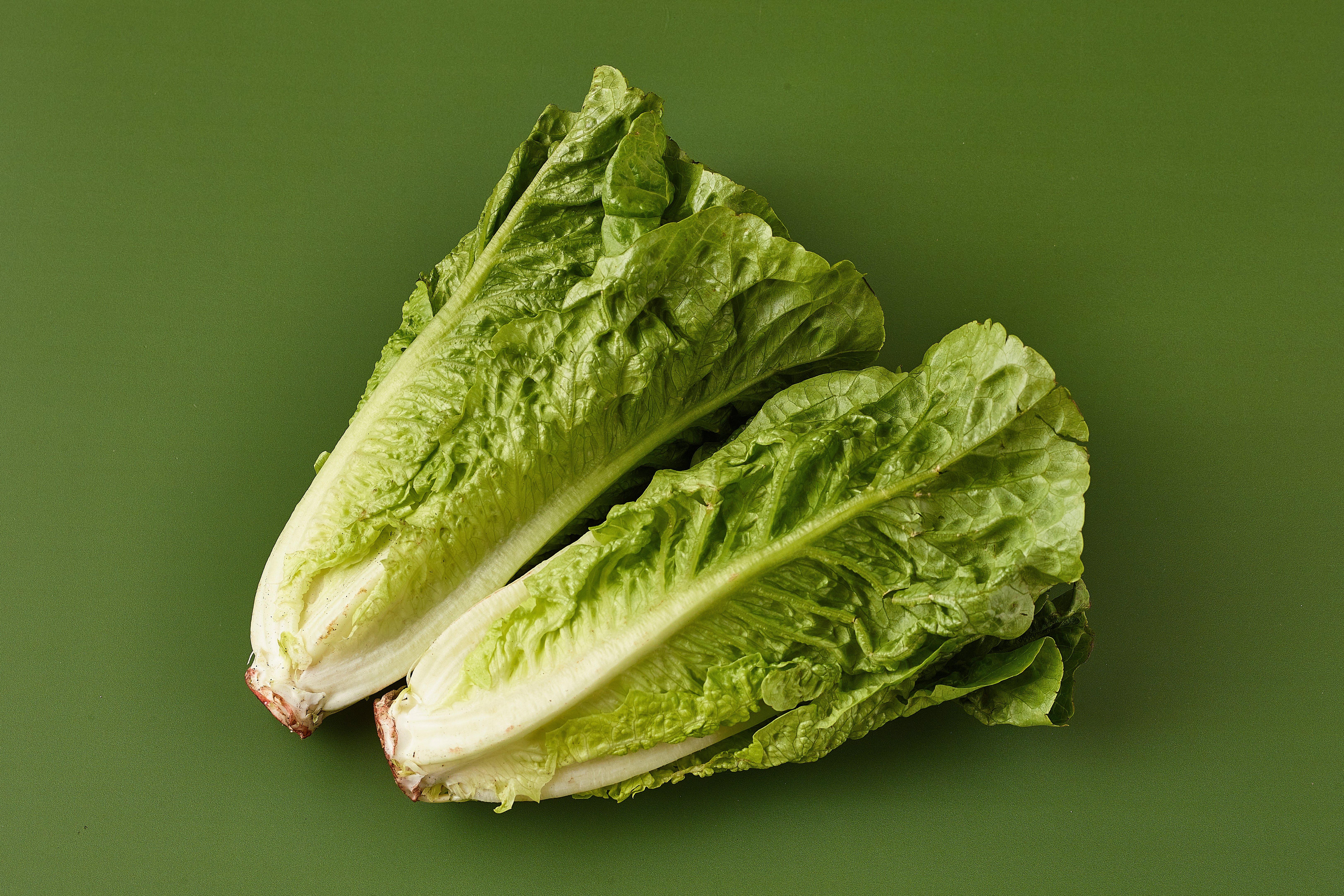 Cos Lettuce