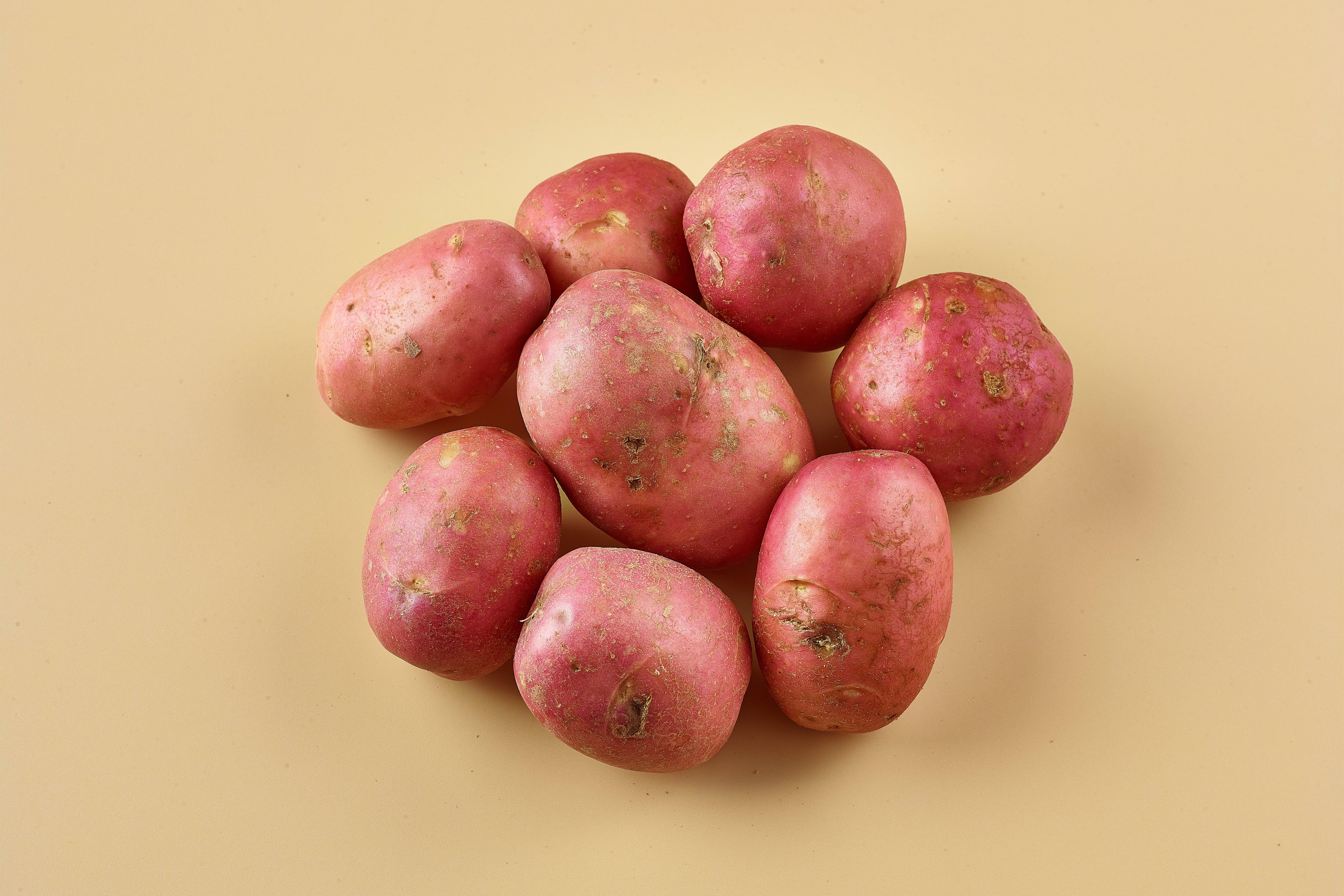 Red Potatoes CLASS II