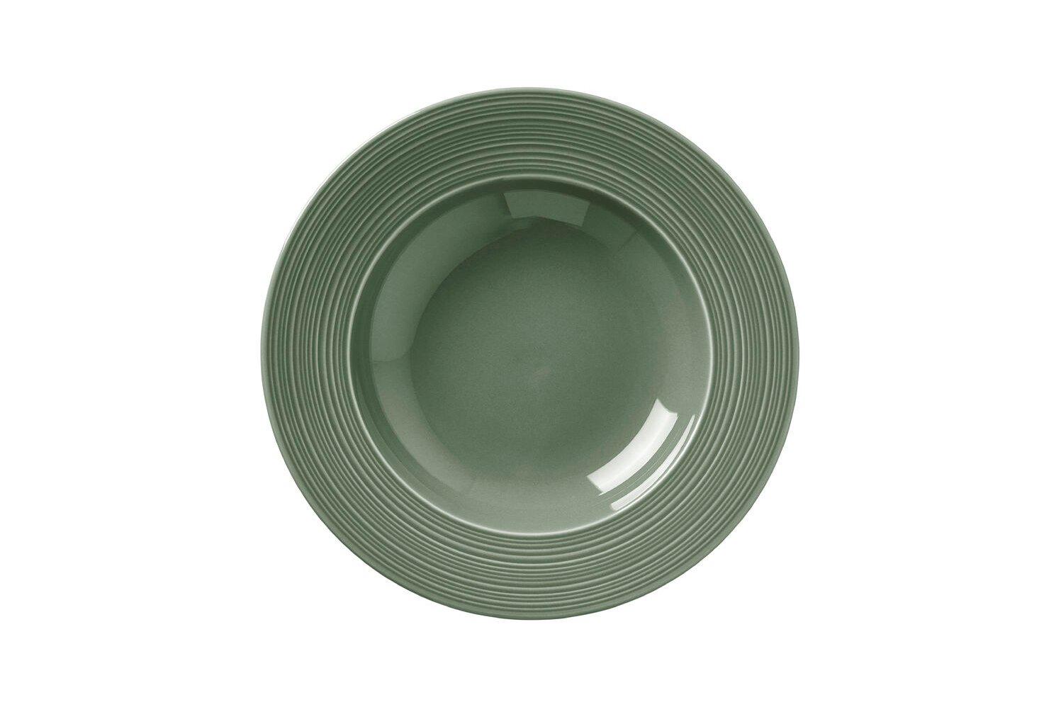 Steelite Concorde Fern Rim Soup Plate 24cm 31cl