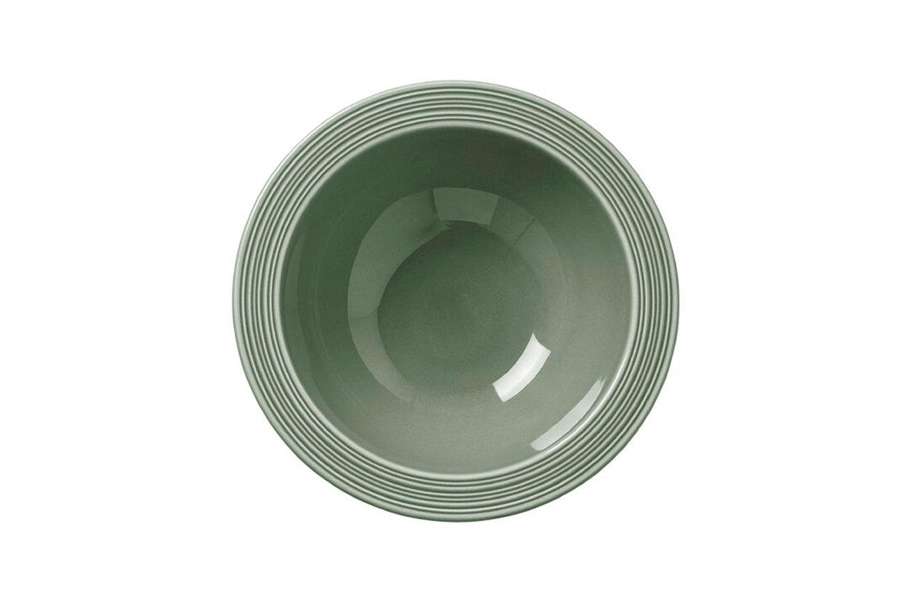 Steelite Concorde Fern Oatmeal Bowl 16.5cm 34cl
