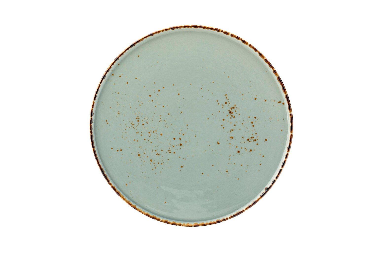 Steelite Umbra Briar Coupe Plate 9"