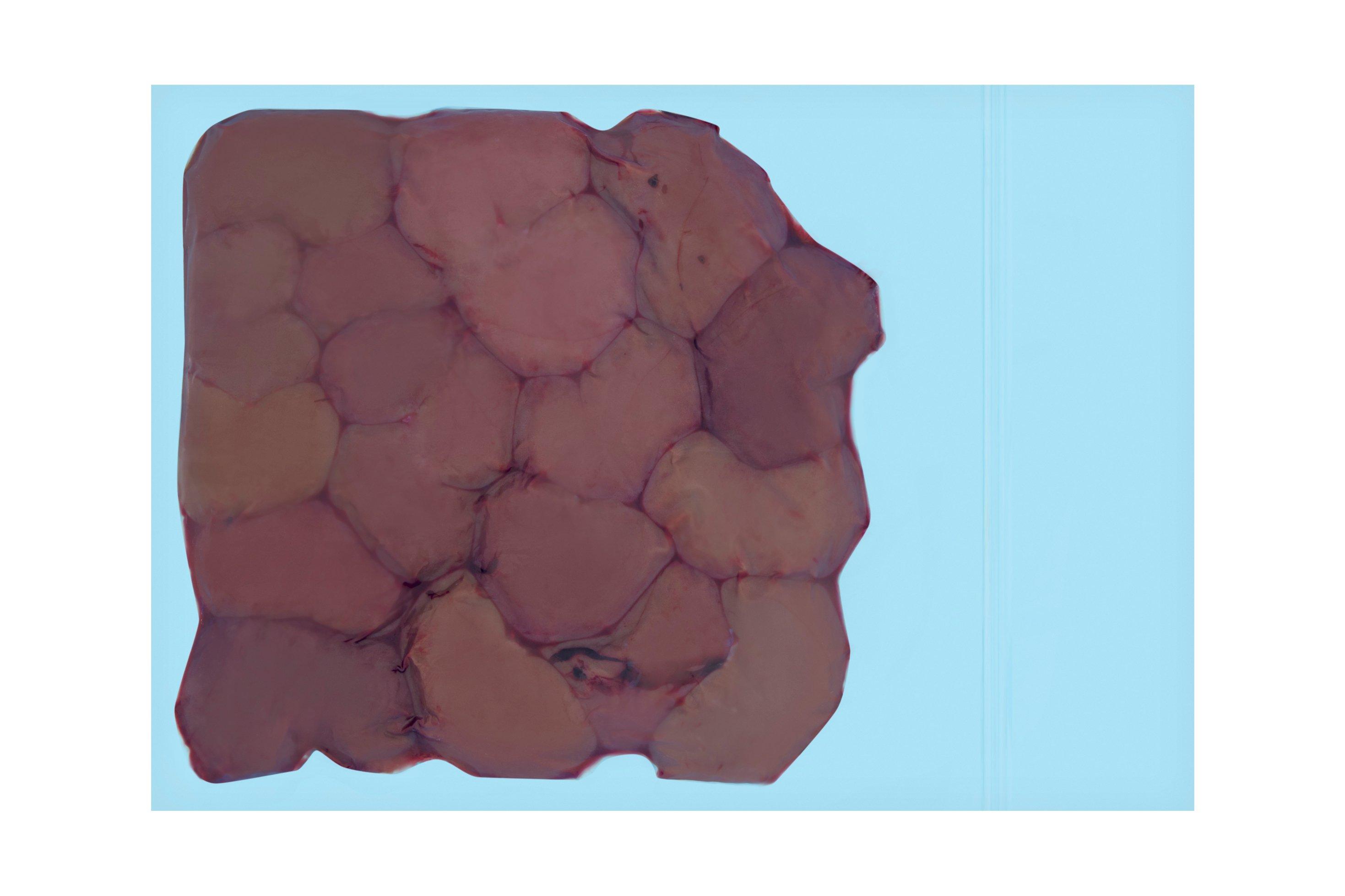 Pilgrims British Red Tractor Whole Lamb's Kidneys 1kg