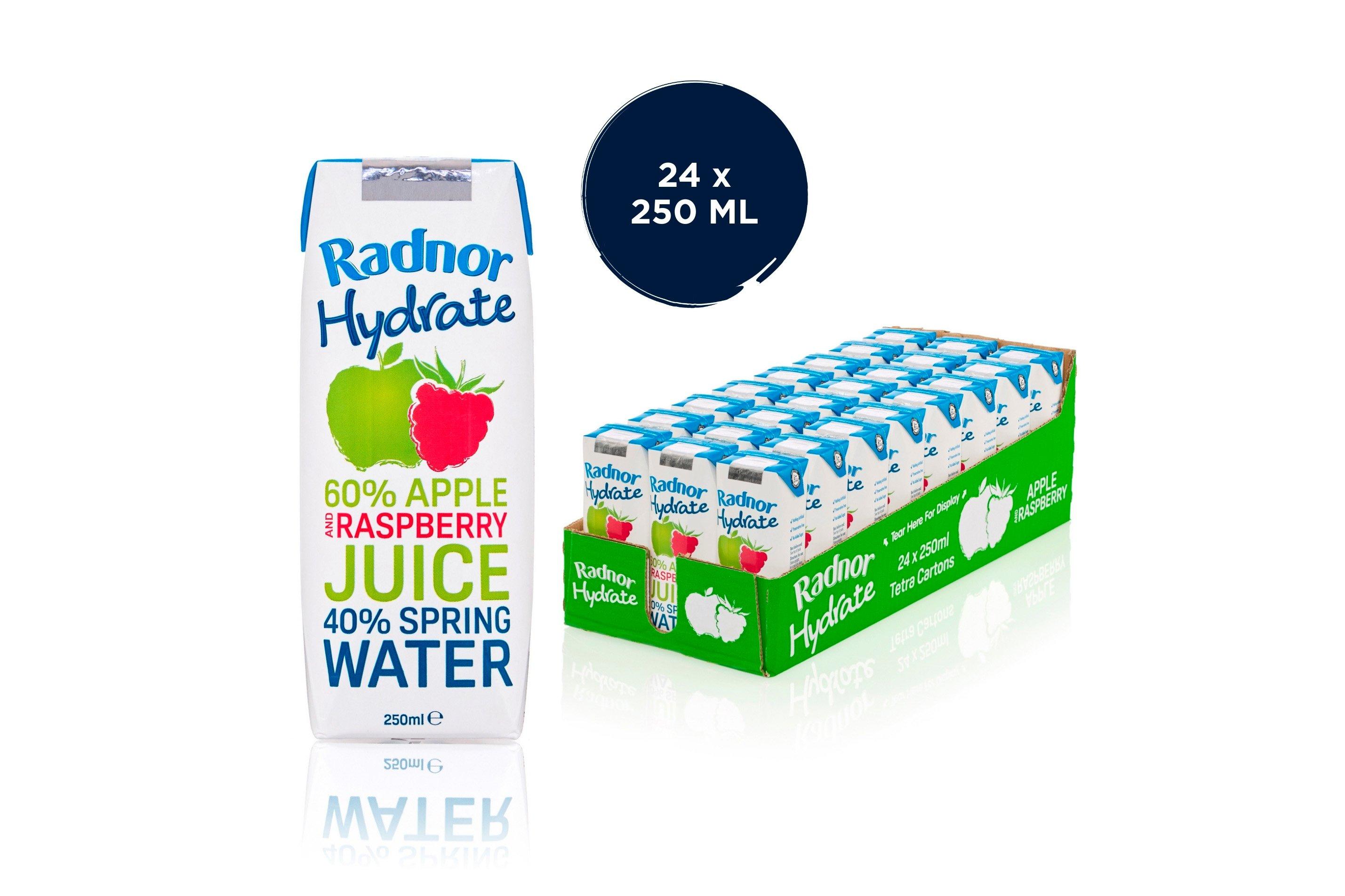 Radnor Hydrate Apple Raspberry 250ml