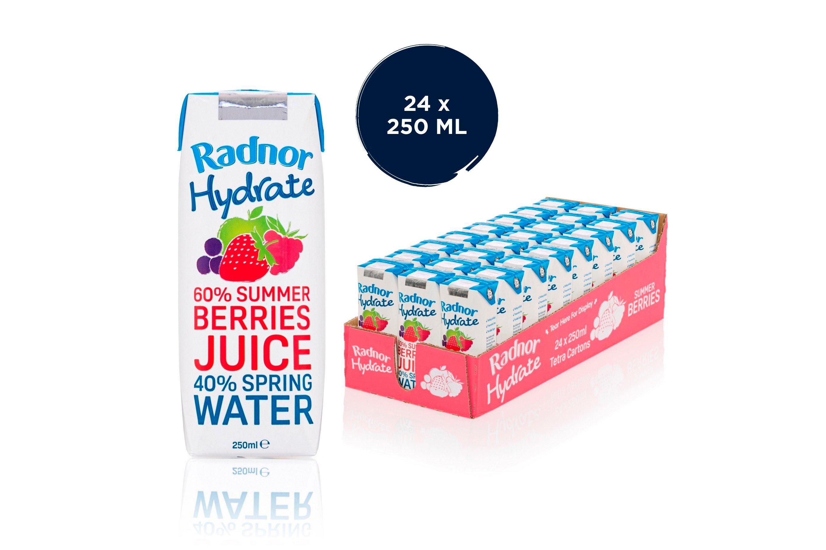 Radnor Hydrate Summer Berries 250ml