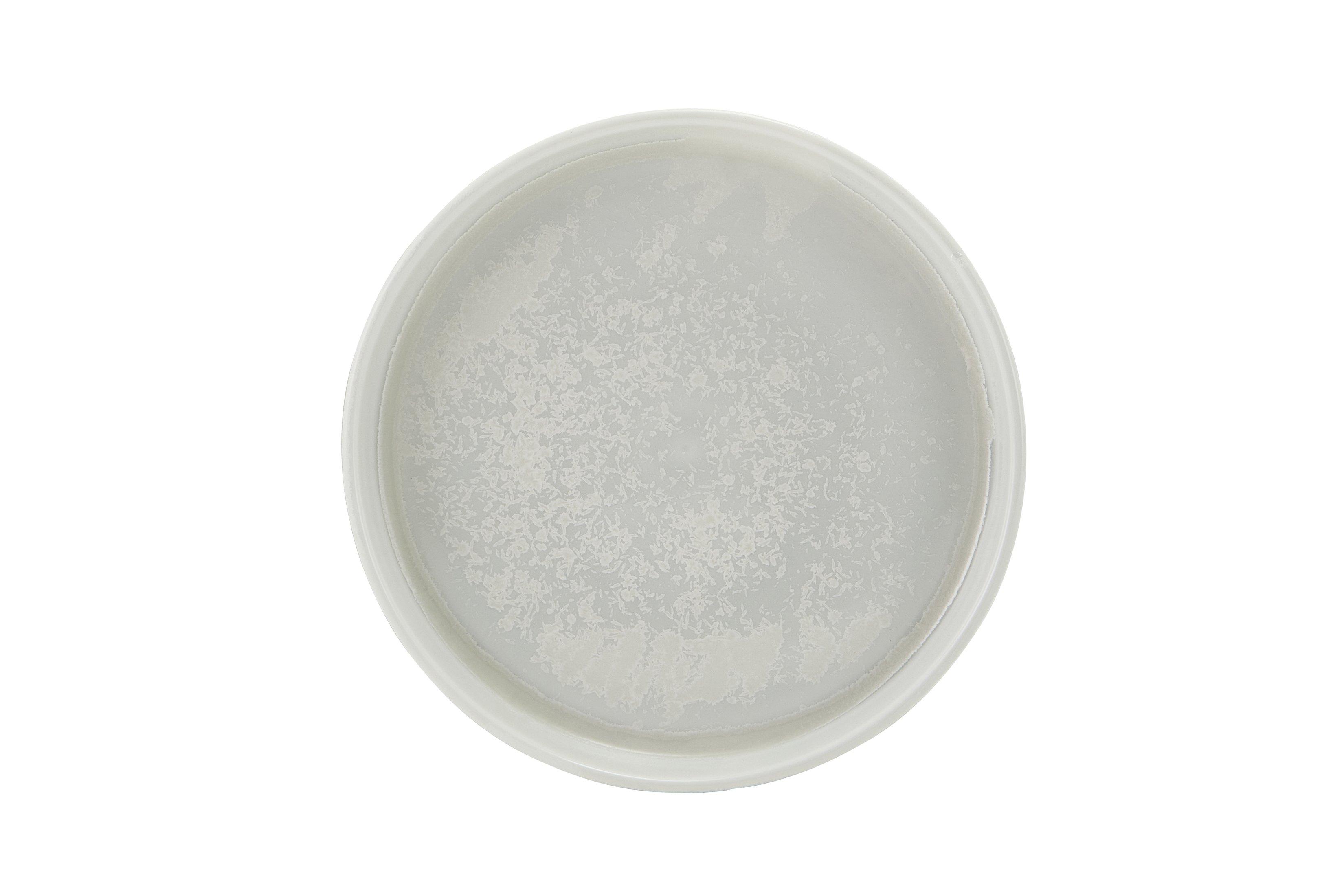 Incise Porcelain Lucine Presentation Plate 18cm
