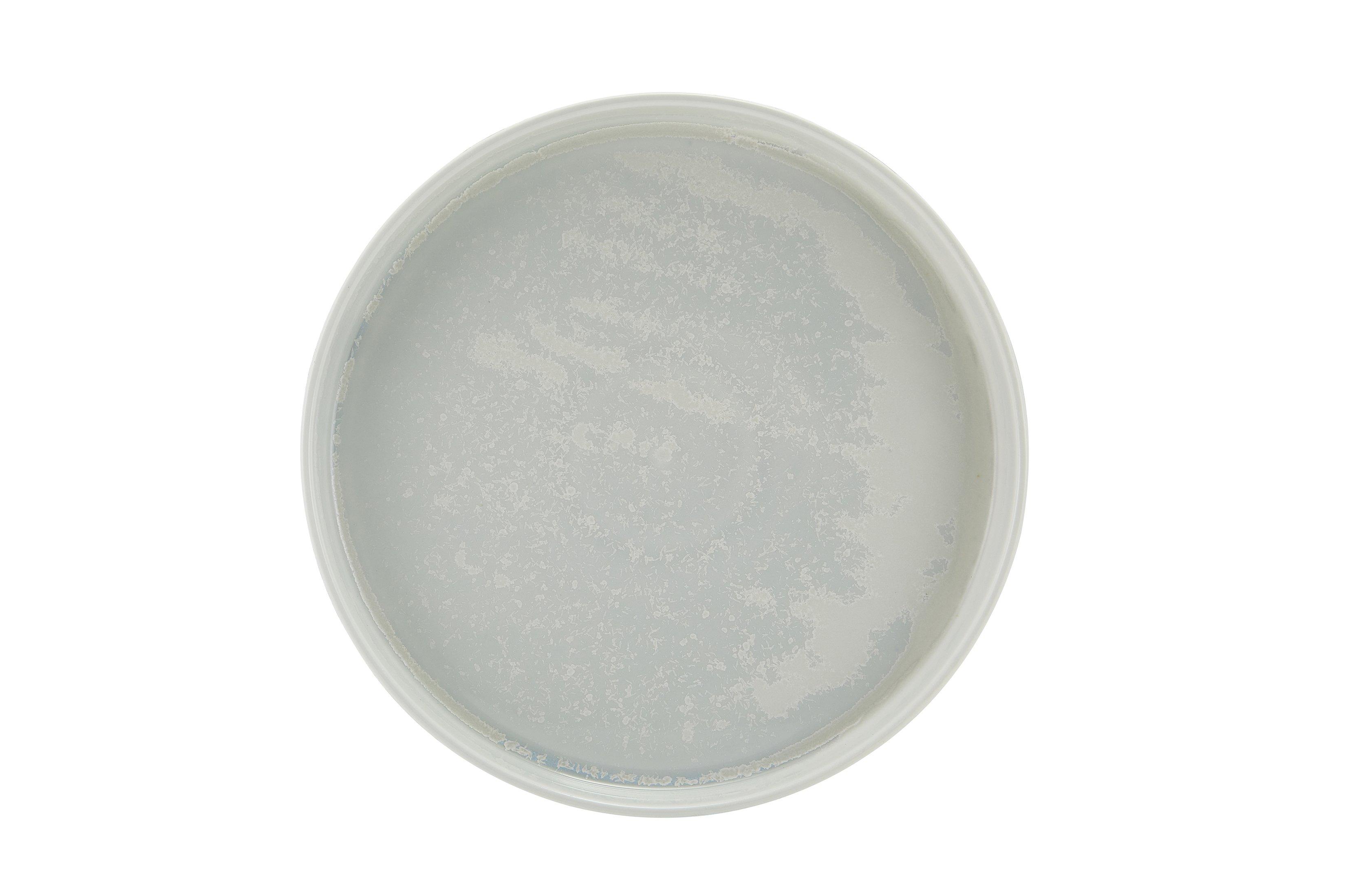 Incise Porcelain Lucine Presentation Plate 25cm