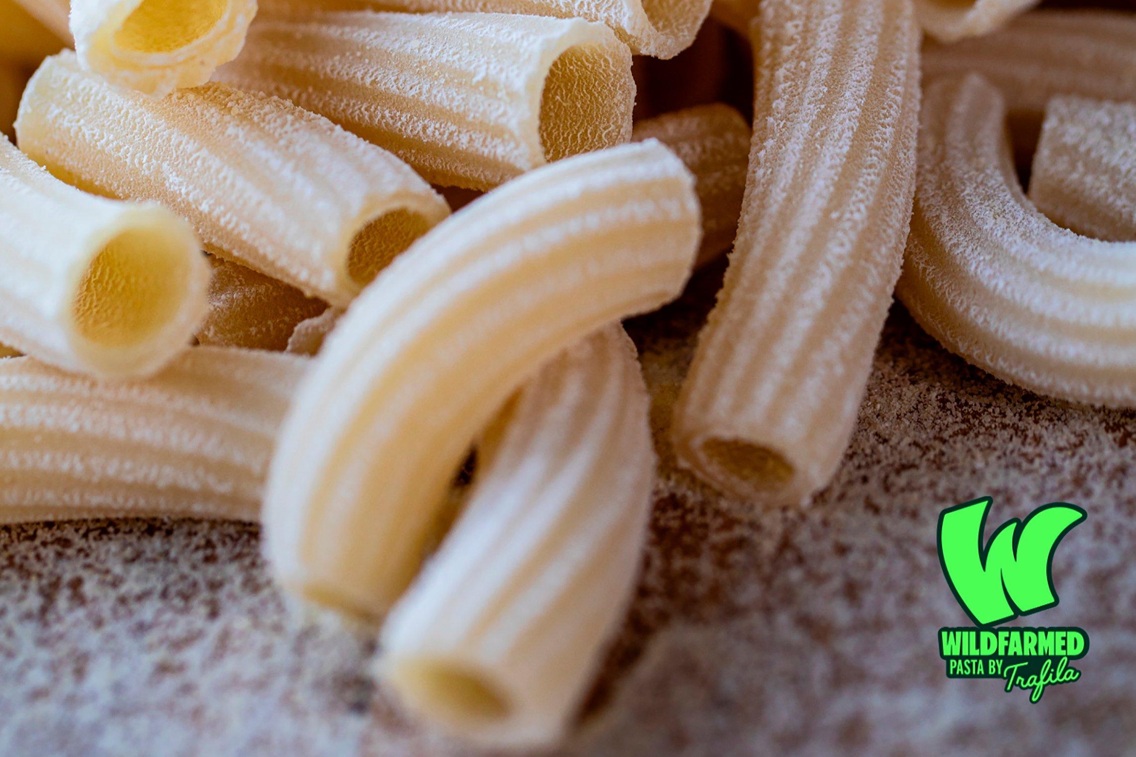 Wildfarmed Pasta by Trafila Egg Rigatoni