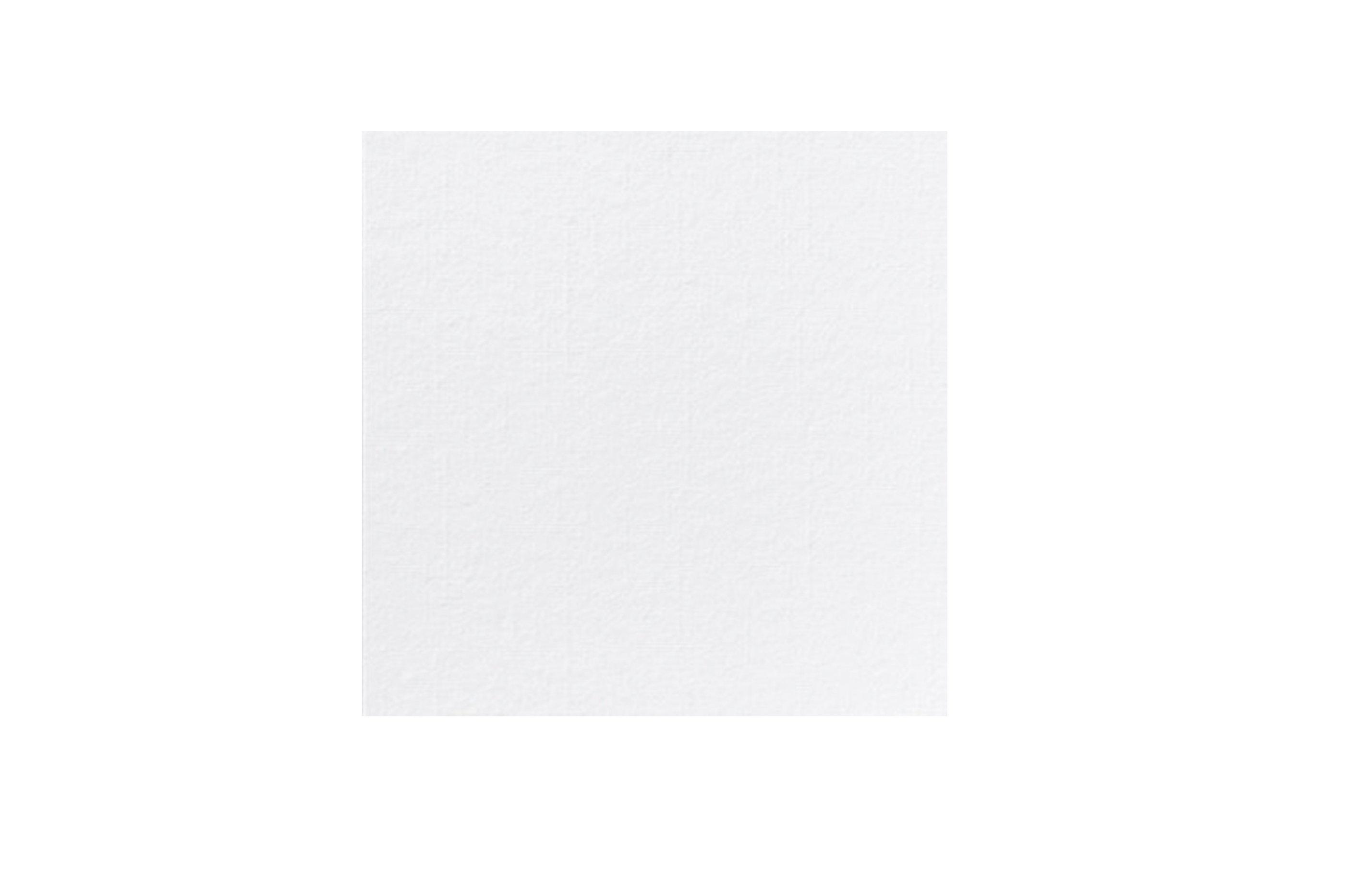 Brakes 2Ply 32cm White Napkin
